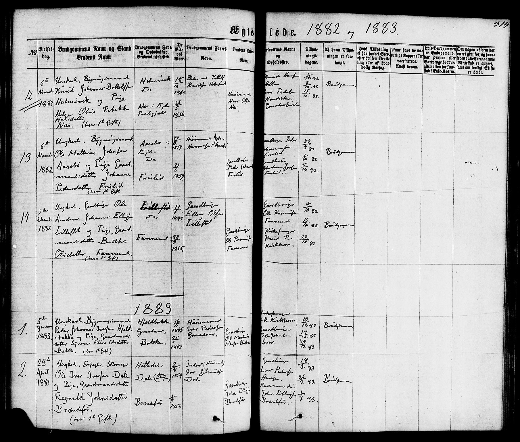 Hornindal sokneprestembete, SAB/A-82401/H/Haa/Haaa/L0002: Parish register (official) no. A 2, 1867-1884, p. 314