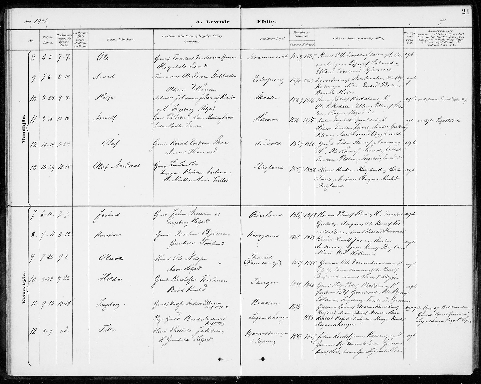 Sigdal kirkebøker, SAKO/A-245/F/Fc/L0002: Parish register (official) no. III 2, 1894-1911, p. 21