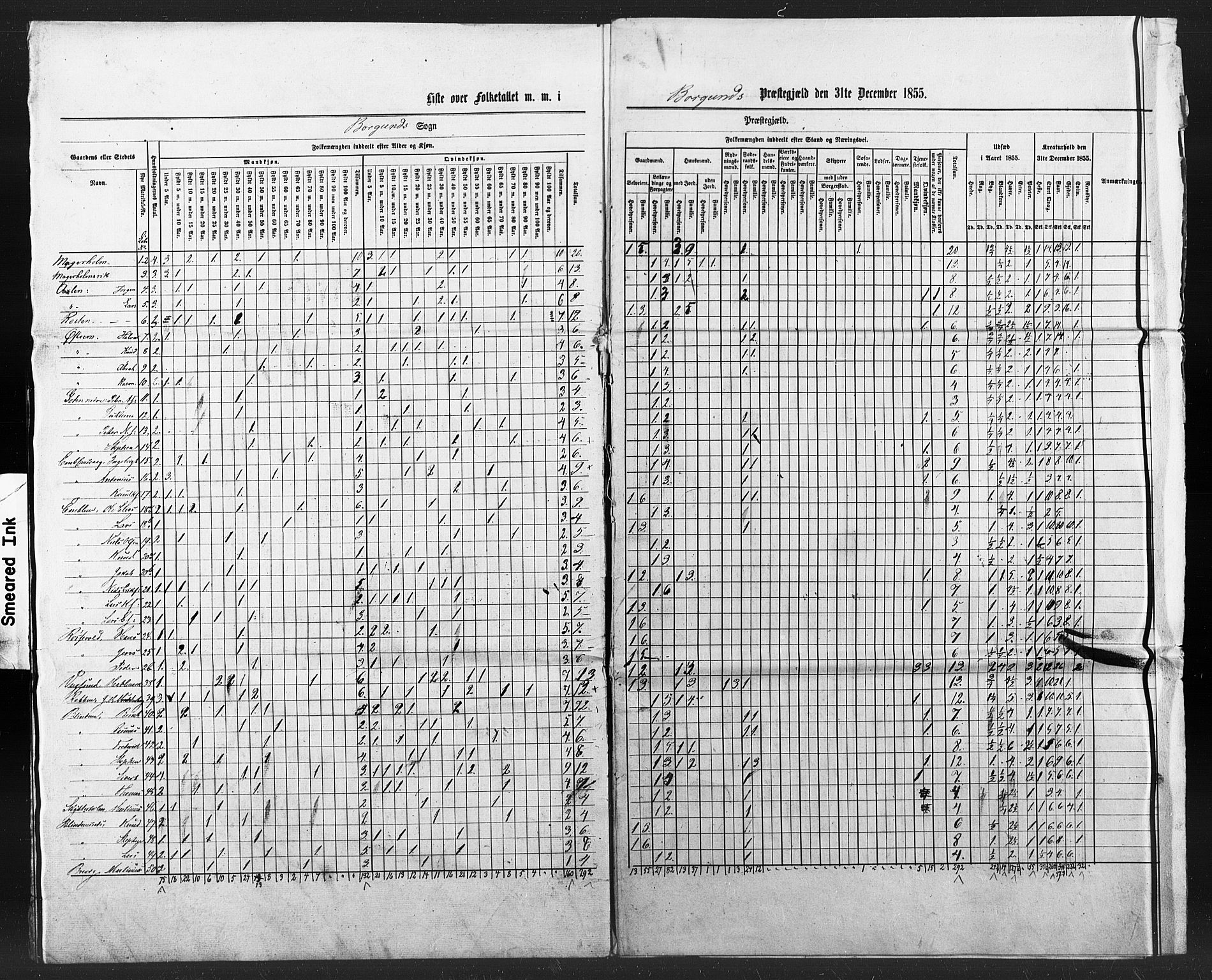 SAT, Census 1855 for Borgund, 1855, p. 115