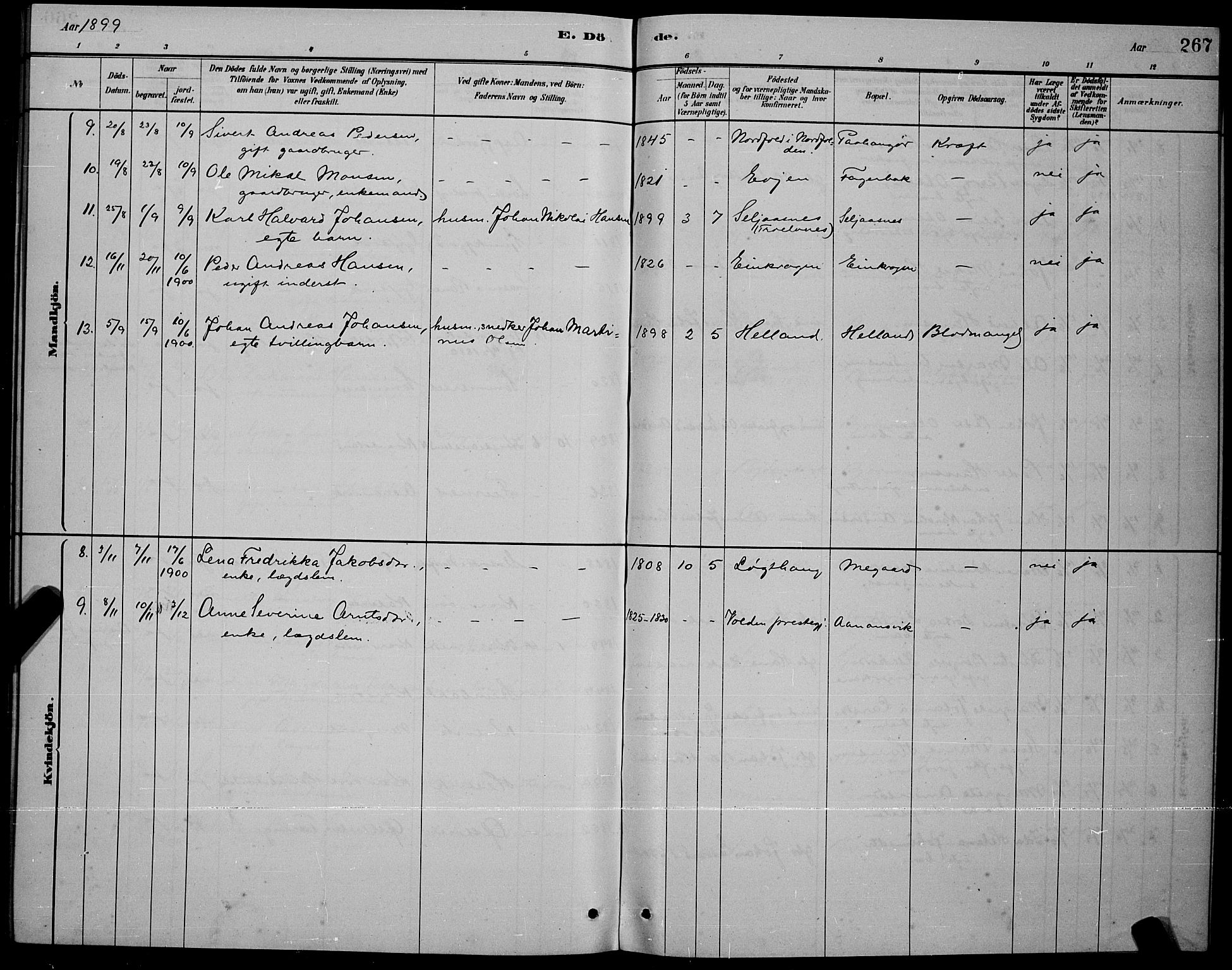 Ministerialprotokoller, klokkerbøker og fødselsregistre - Nordland, AV/SAT-A-1459/853/L0772: Parish register (official) no. 853A11, 1881-1900, p. 267