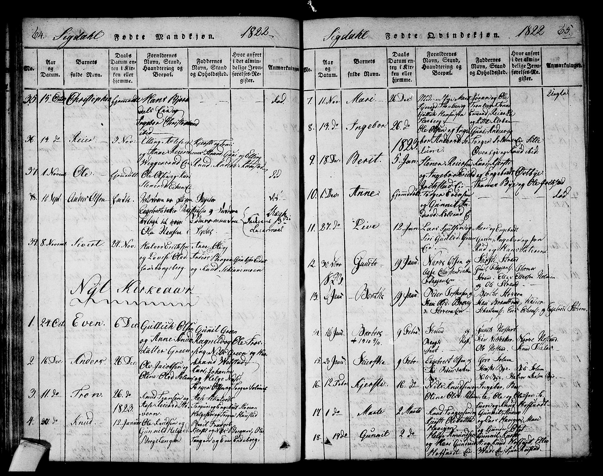 Sigdal kirkebøker, AV/SAKO-A-245/F/Fa/L0005: Parish register (official) no. I 5 /1, 1815-1829, p. 64-65