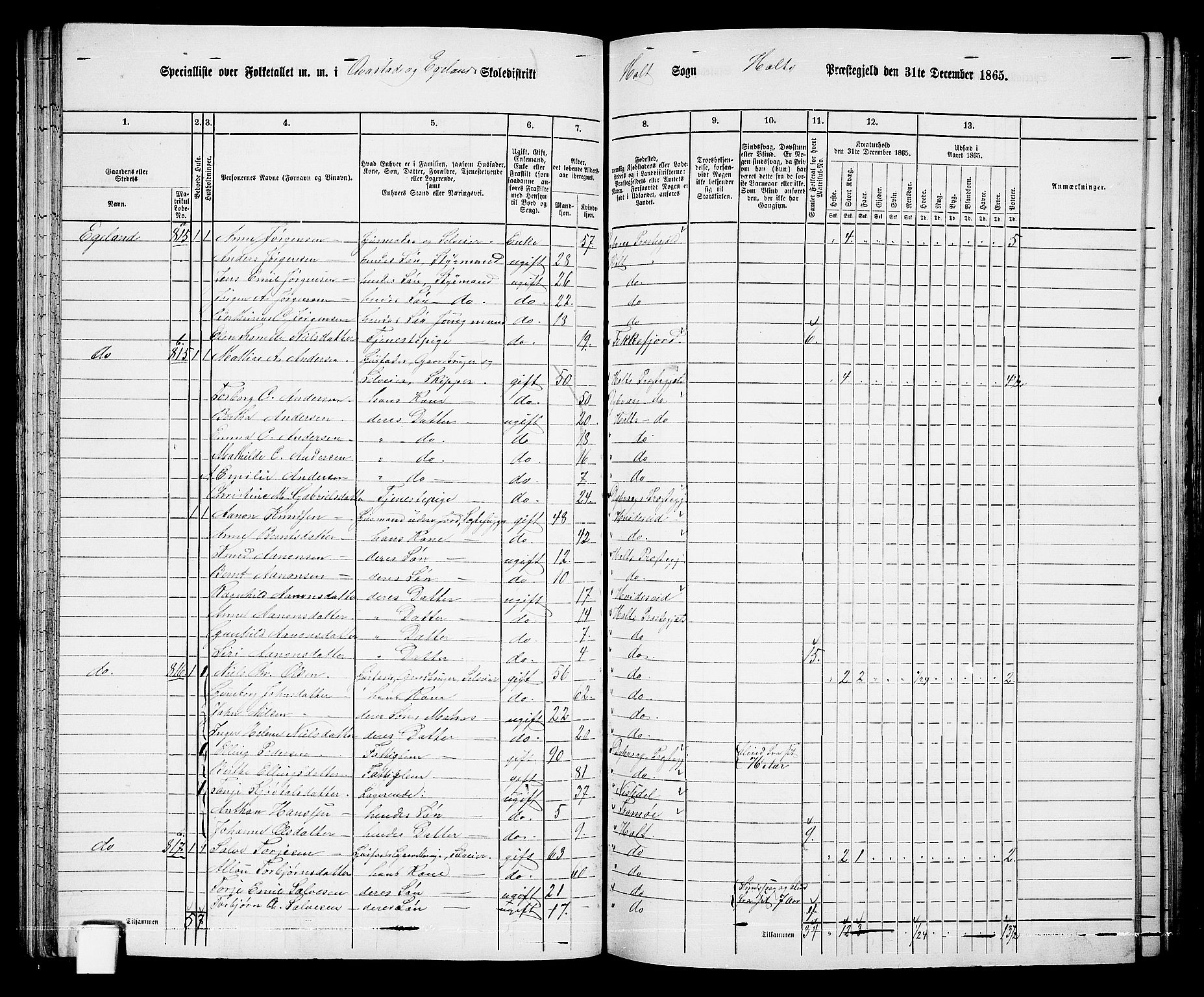 RA, 1865 census for Holt/Holt, 1865, p. 56