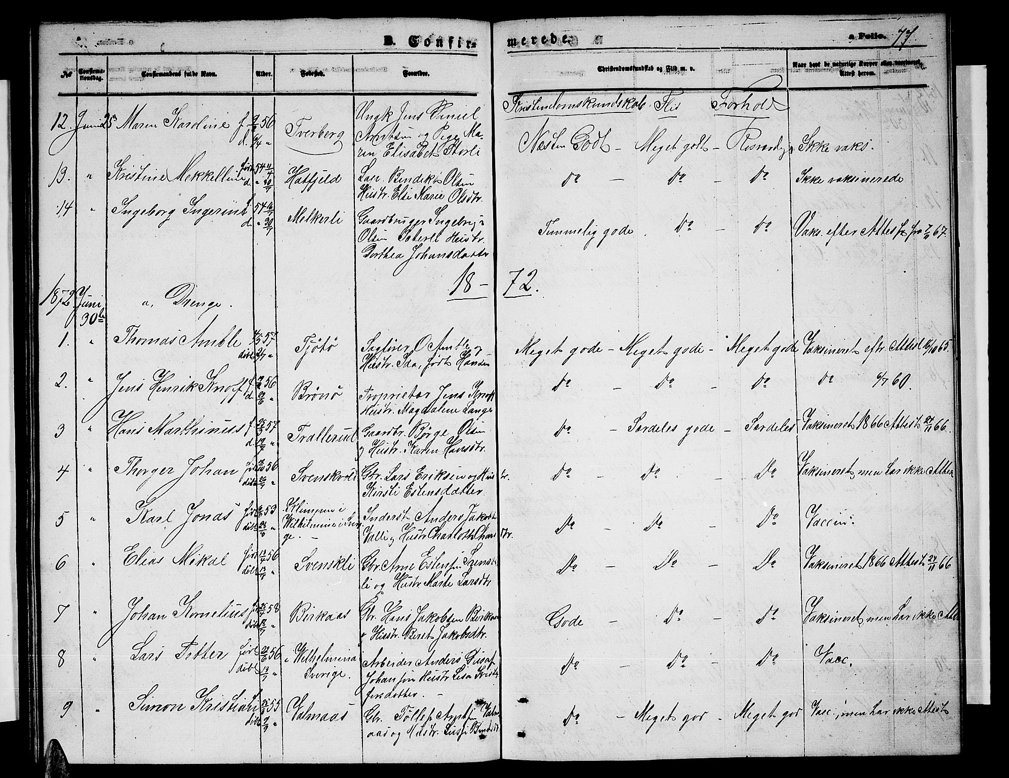 Ministerialprotokoller, klokkerbøker og fødselsregistre - Nordland, AV/SAT-A-1459/823/L0329: Parish register (copy) no. 823C01, 1865-1878, p. 77