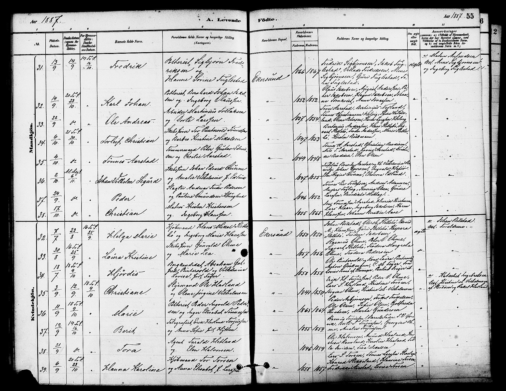 Eigersund sokneprestkontor, AV/SAST-A-101807/S08/L0015: Parish register (official) no. A 15, 1879-1892, p. 55