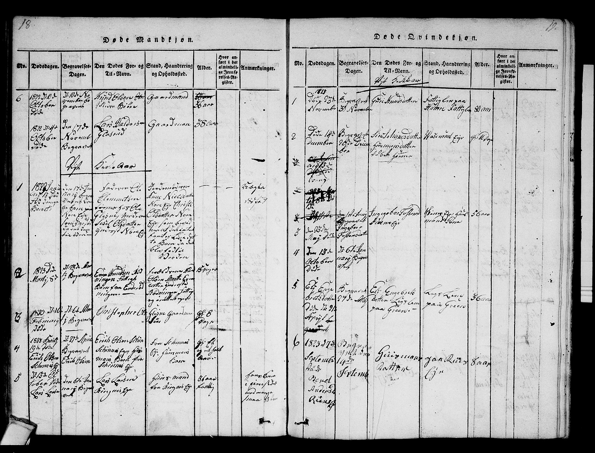 Krødsherad kirkebøker, SAKO/A-19/F/Fa/L0001: Parish register (official) no. 1, 1815-1829, p. 18-19