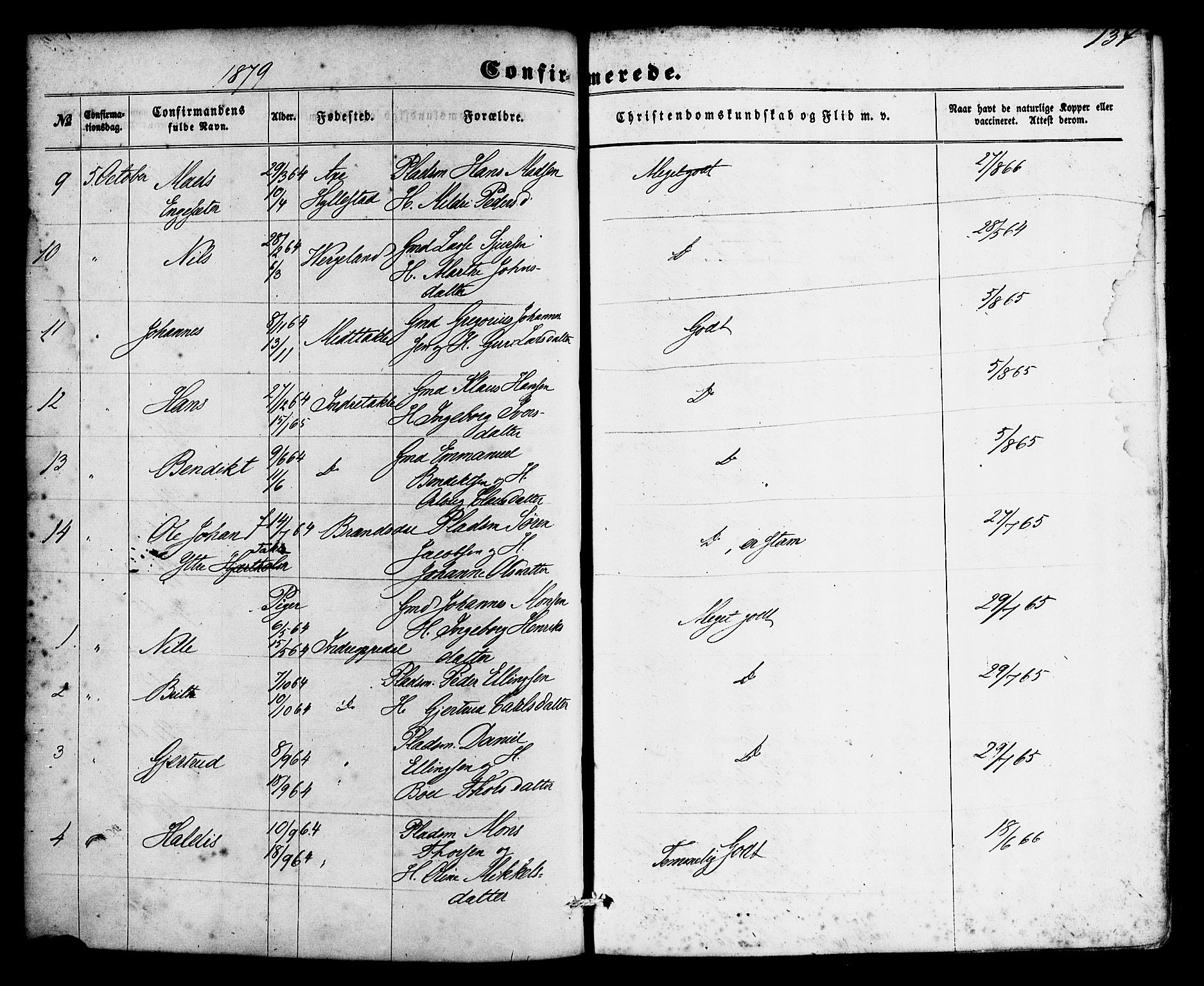 Gulen sokneprestembete, SAB/A-80201/H/Haa/Haac/L0001: Parish register (official) no. C 1, 1859-1881, p. 134