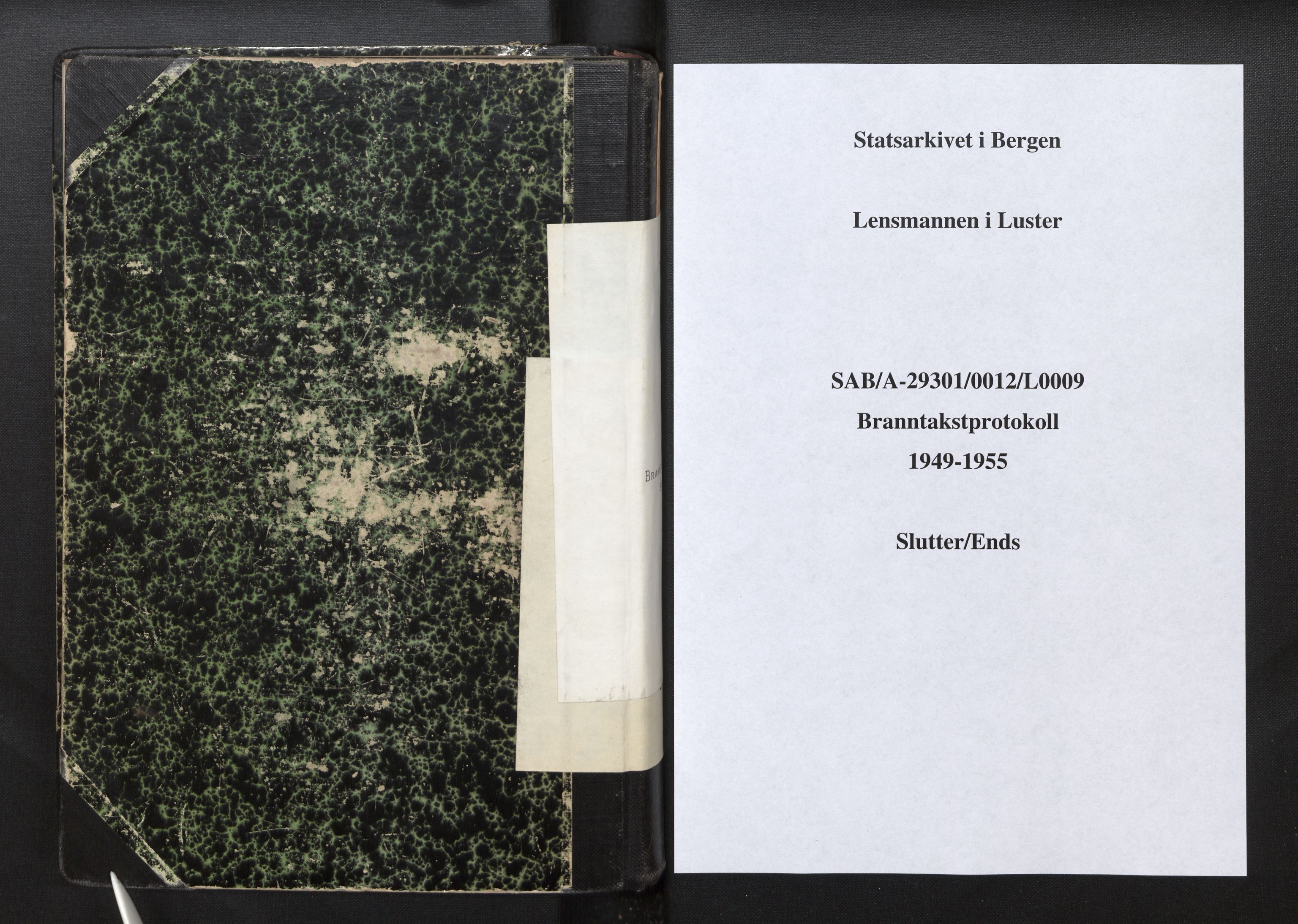 Lensmannen i Luster, SAB/A-29301/0012/L0008: Branntakstprotokoll, skjematakst, 1949-1955