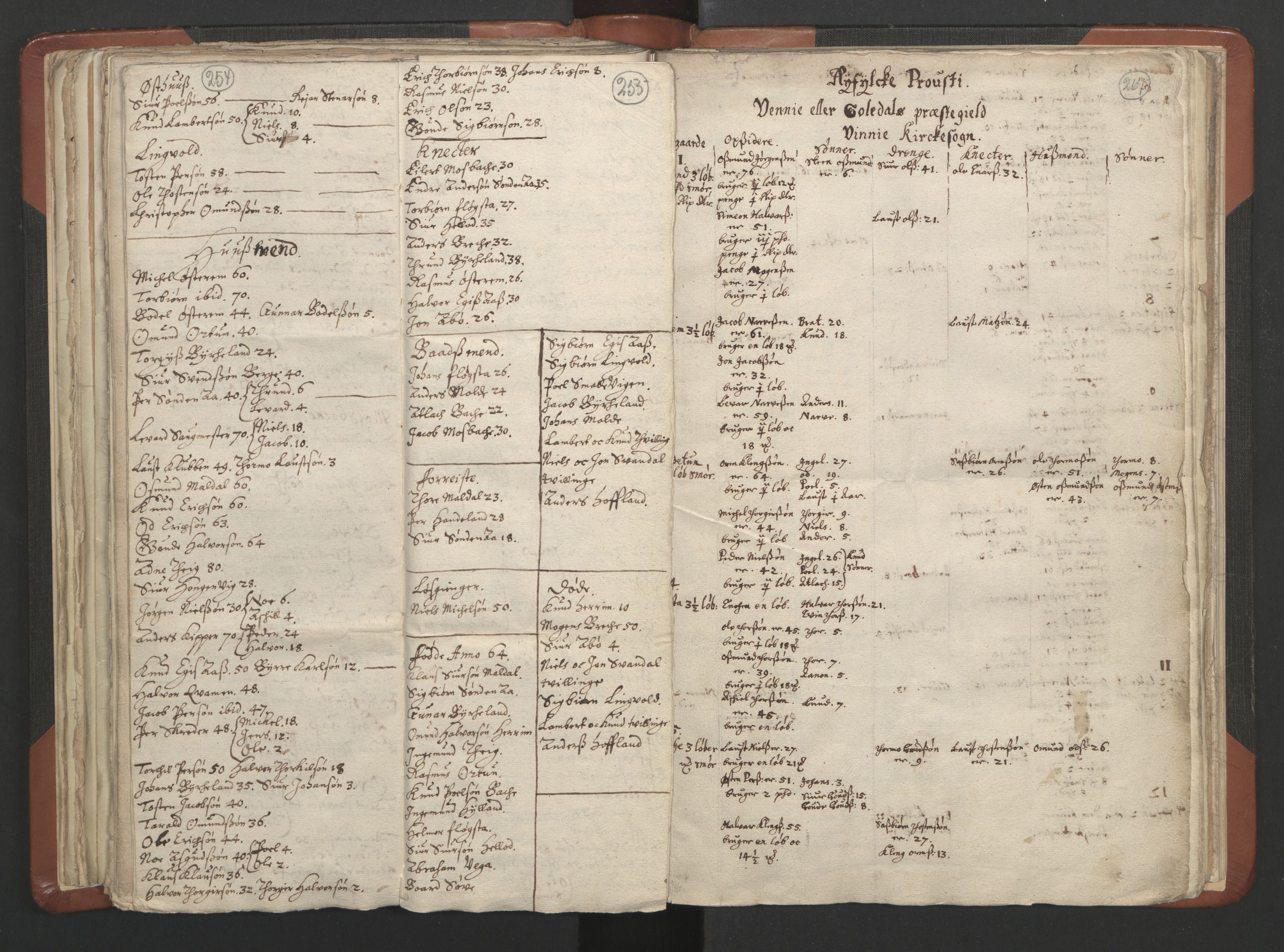 RA, Vicar's Census 1664-1666, no. 19: Ryfylke deanery, 1664-1666, p. 254-255