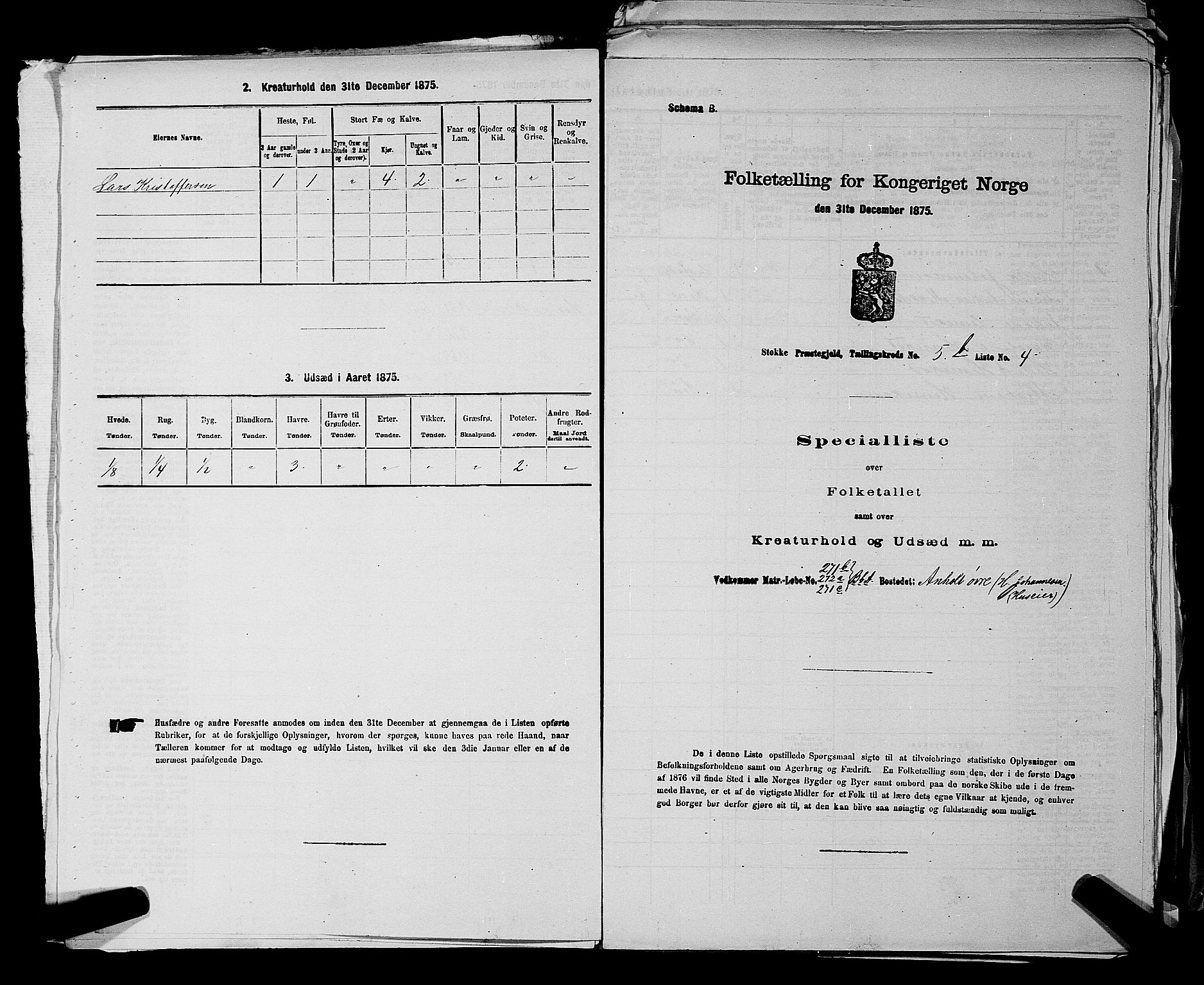 SAKO, 1875 census for 0720P Stokke, 1875, p. 1117