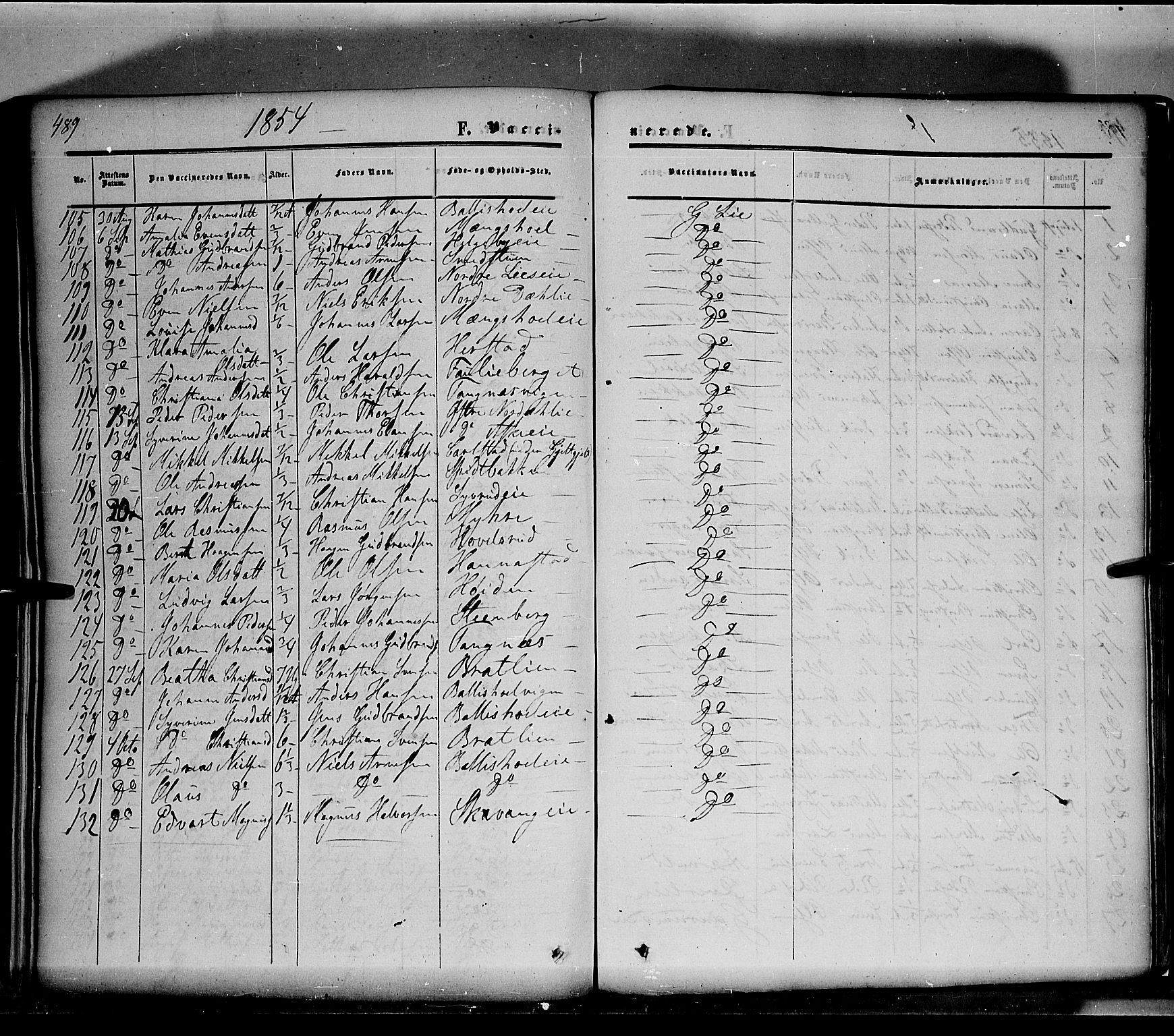 Nes prestekontor, Hedmark, SAH/PREST-020/K/Ka/L0004: Parish register (official) no. 4, 1852-1886, p. 489
