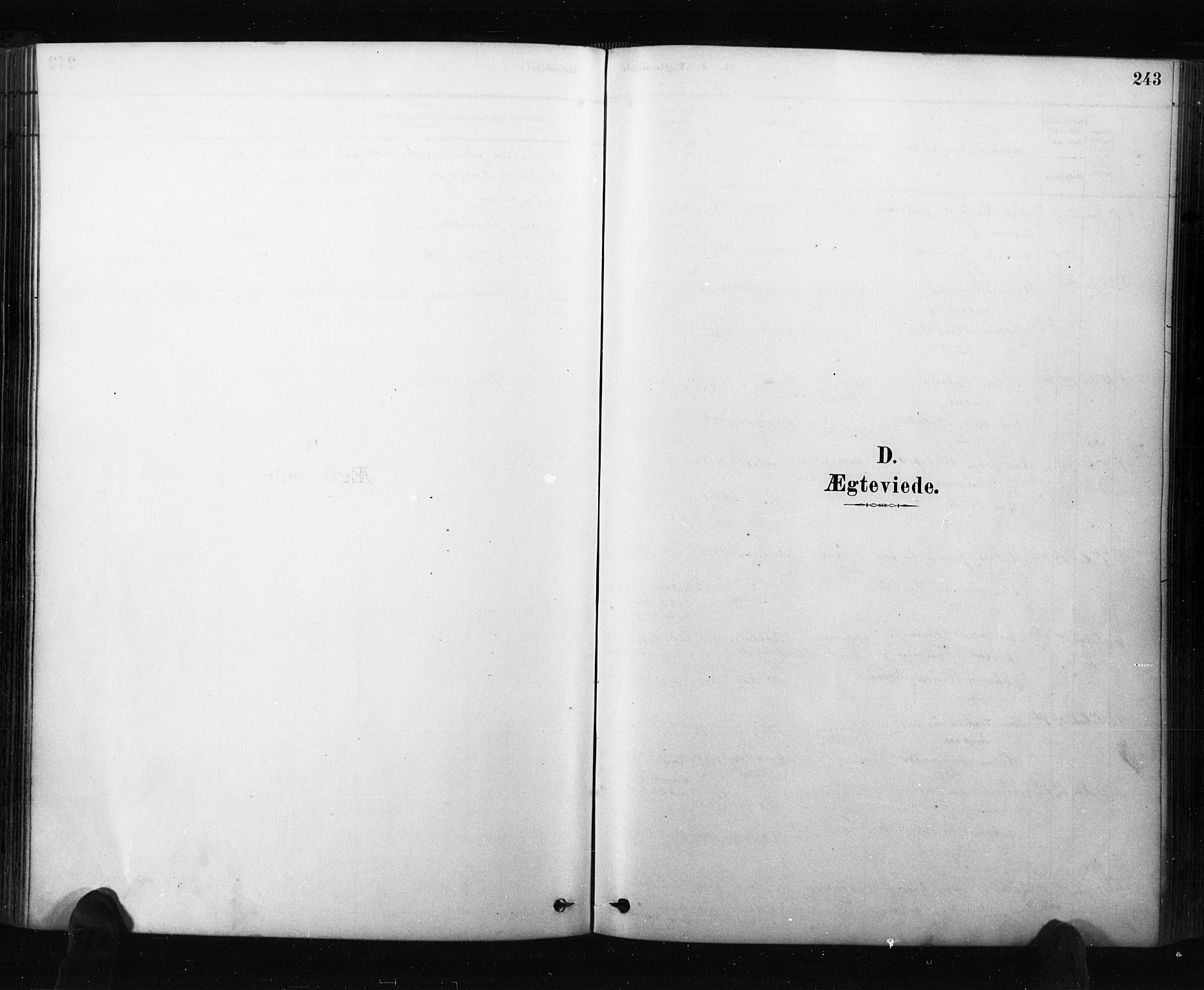 Råde prestekontor kirkebøker, SAO/A-2009/F/Fa/L0007: Parish register (official) no. 7, 1878-1902, p. 243