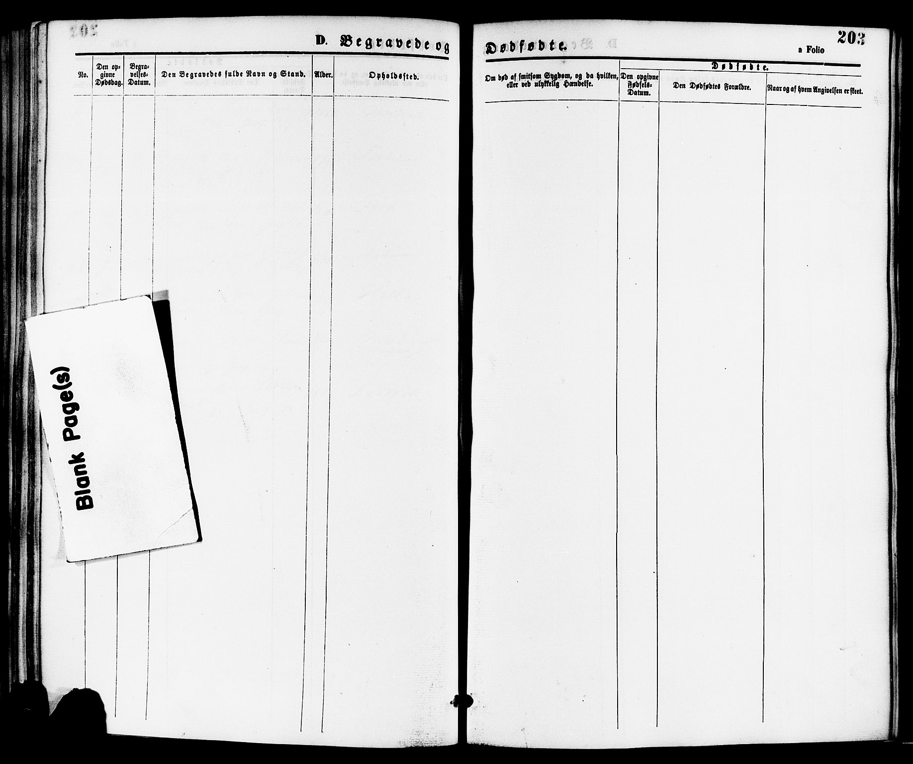 Nedstrand sokneprestkontor, SAST/A-101841/01/IV: Parish register (official) no. A 11, 1877-1887, p. 203