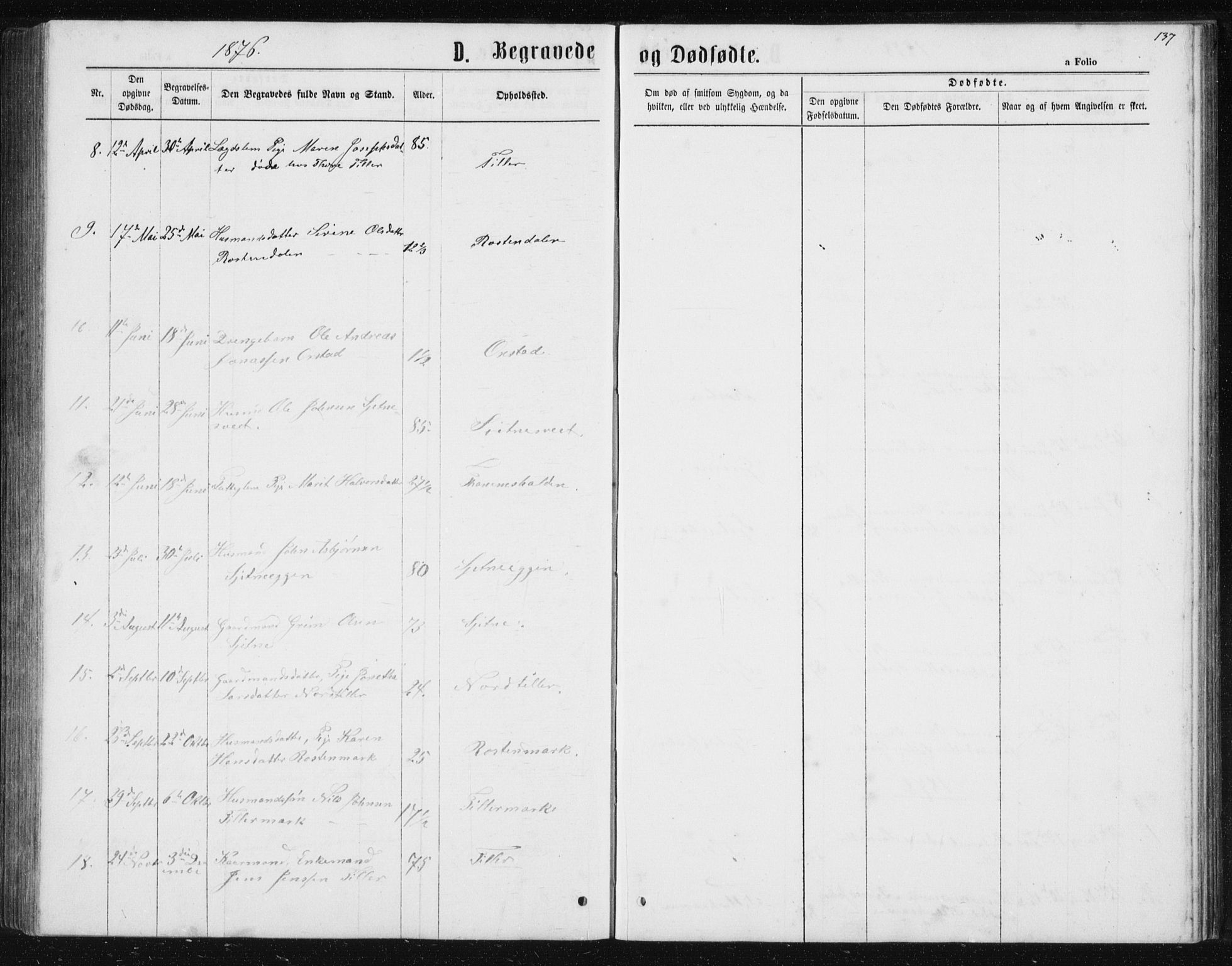Ministerialprotokoller, klokkerbøker og fødselsregistre - Sør-Trøndelag, SAT/A-1456/621/L0459: Parish register (copy) no. 621C02, 1866-1895, p. 137