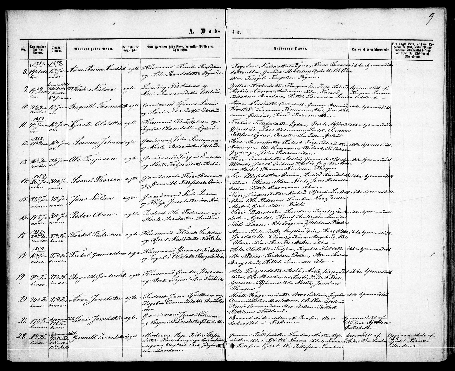 Gjerstad sokneprestkontor, AV/SAK-1111-0014/F/Fa/Faa/L0007: Parish register (official) no. A 7, 1858-1875, p. 9