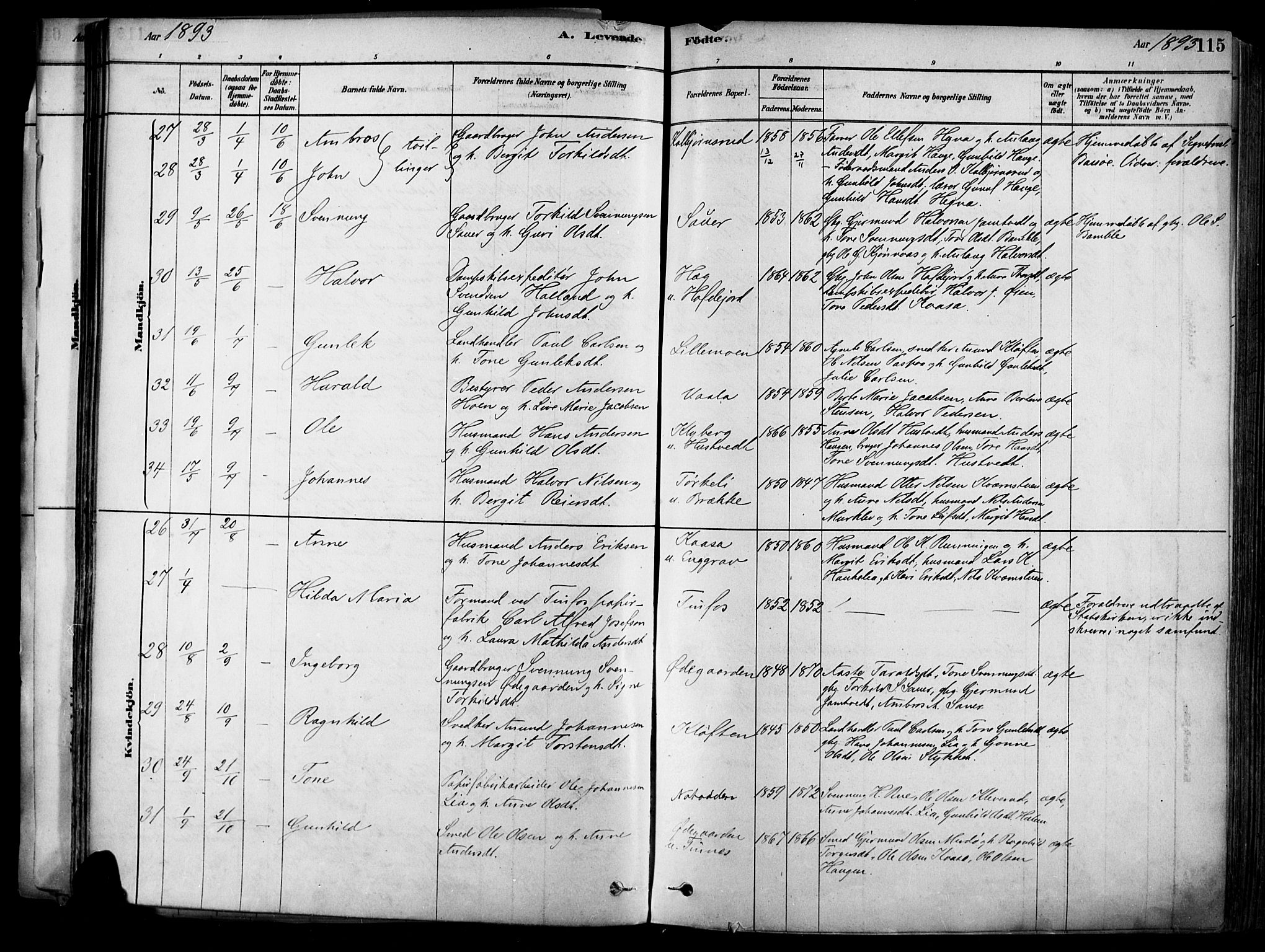 Heddal kirkebøker, AV/SAKO-A-268/F/Fa/L0008: Parish register (official) no. I 8, 1878-1903, p. 115