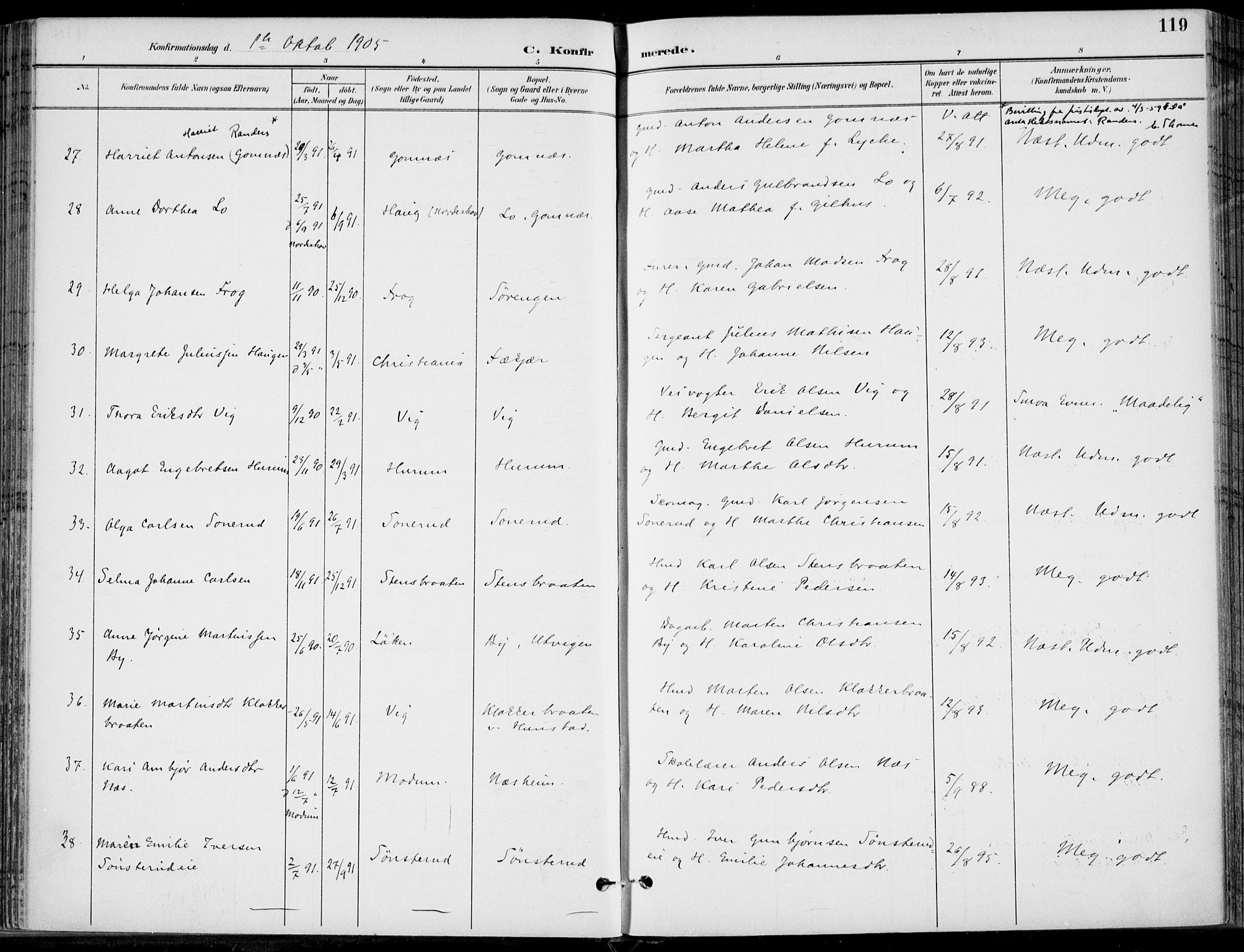 Hole kirkebøker, SAKO/A-228/F/Fa/L0009: Parish register (official) no. I 9, 1892-1907, p. 119