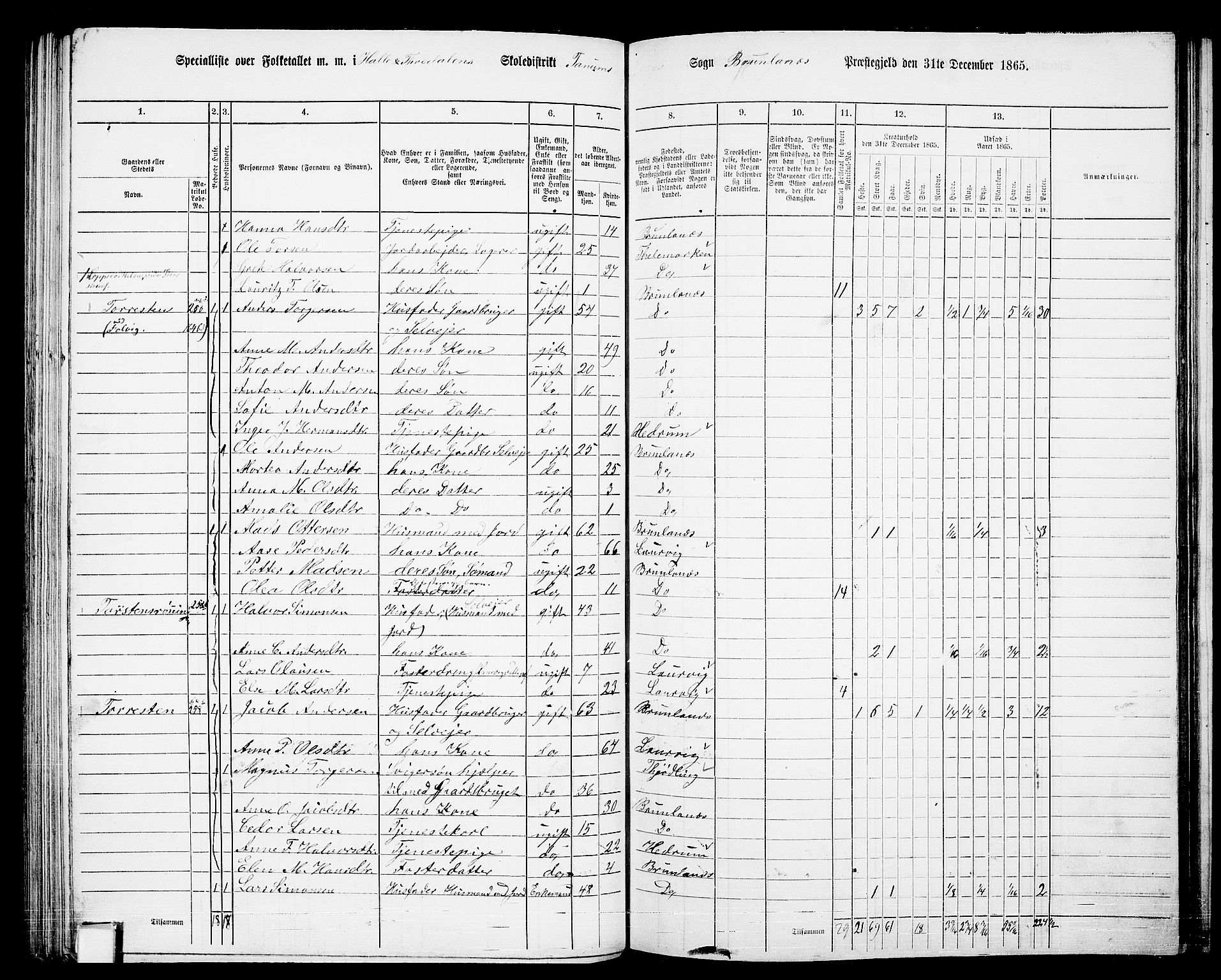 RA, 1865 census for Brunlanes, 1865, p. 98