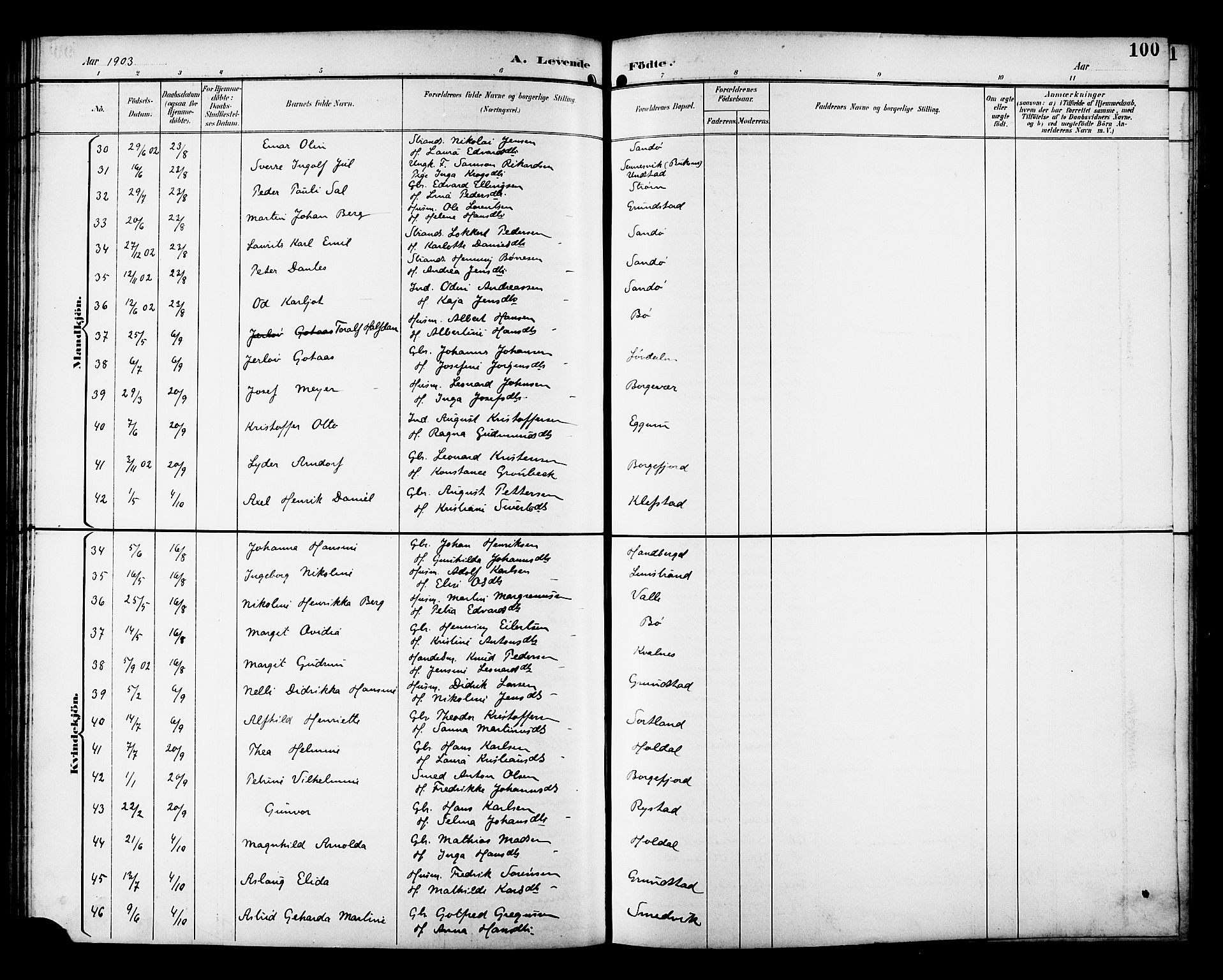 Ministerialprotokoller, klokkerbøker og fødselsregistre - Nordland, AV/SAT-A-1459/880/L1141: Parish register (copy) no. 880C03, 1893-1928, p. 100