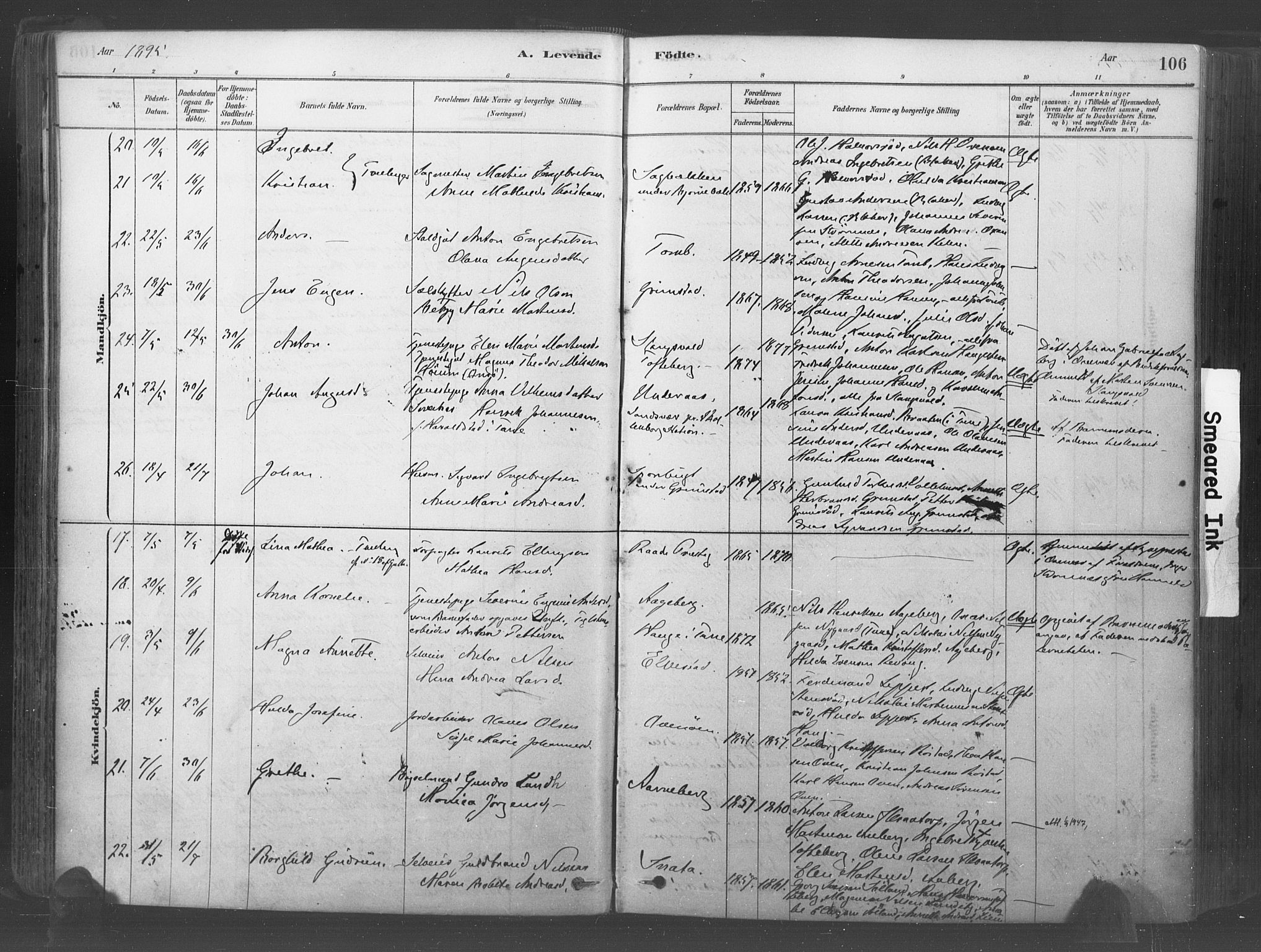 Råde prestekontor kirkebøker, SAO/A-2009/F/Fa/L0007: Parish register (official) no. 7, 1878-1902, p. 106