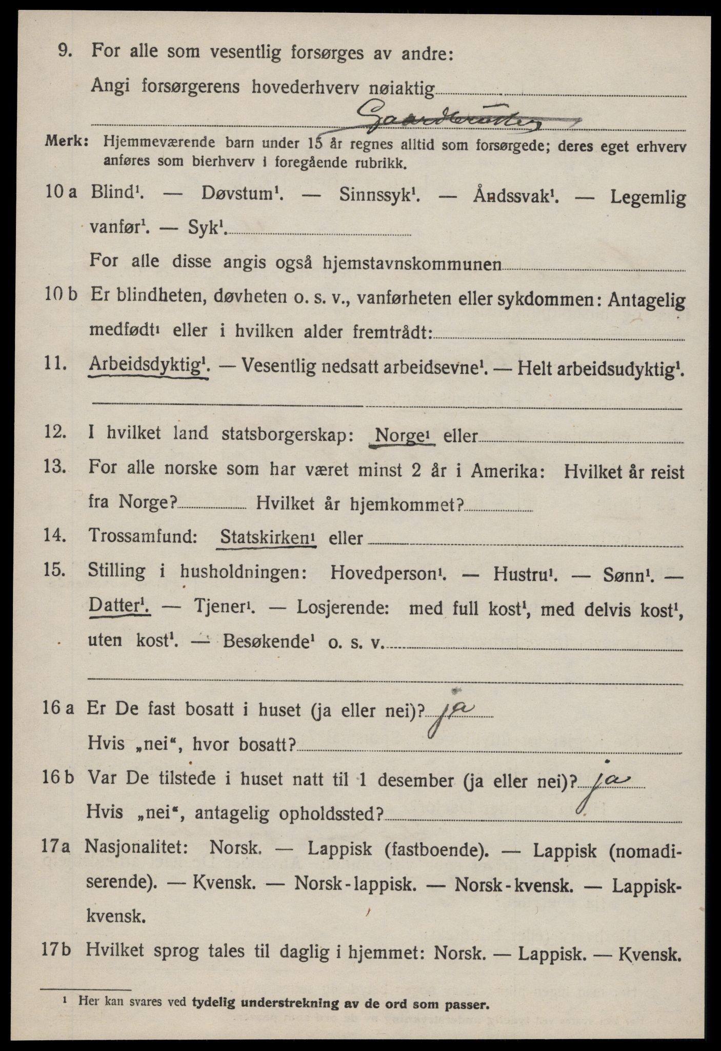 SAT, 1920 census for Hølonda, 1920, p. 1178