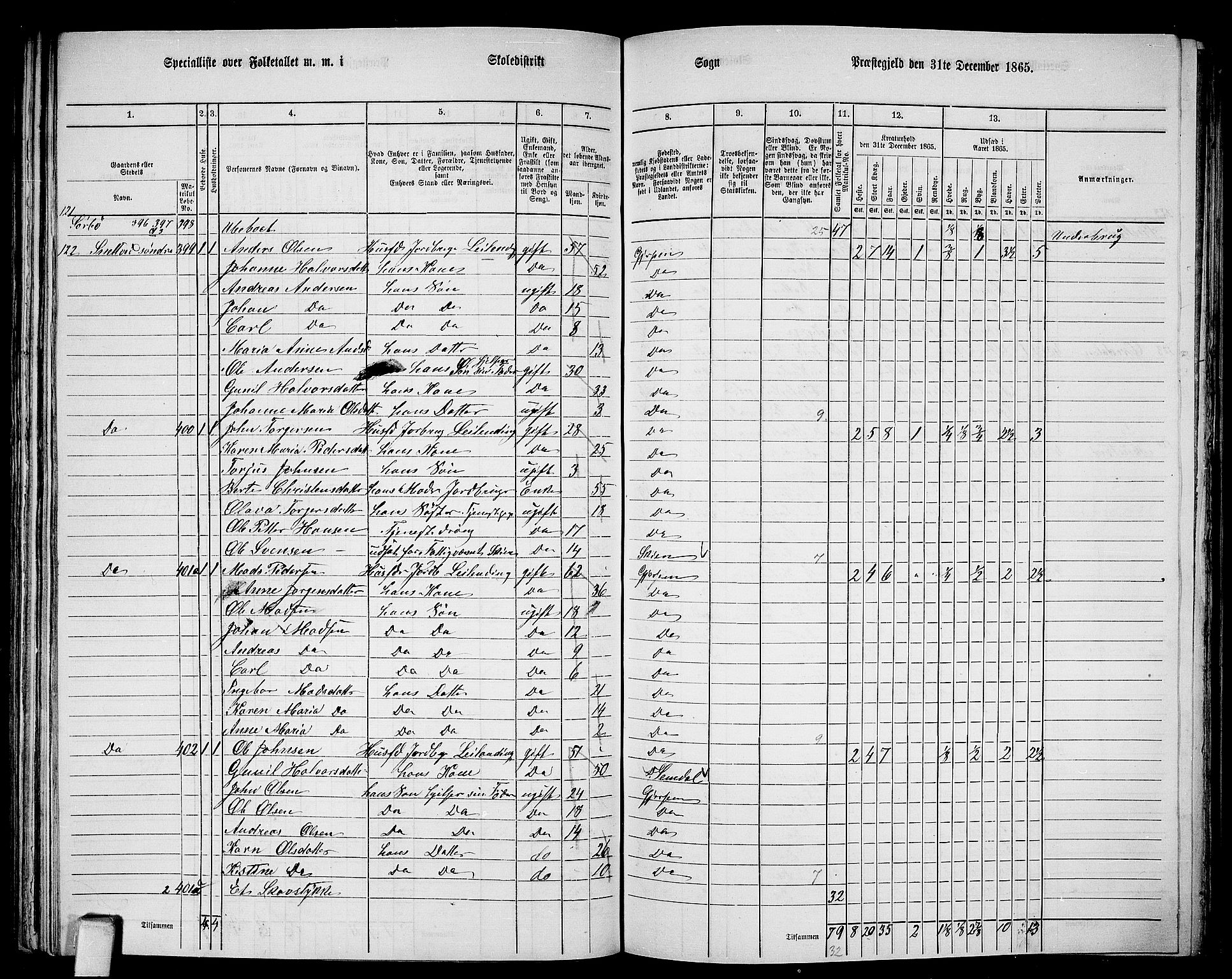 RA, 1865 census for Gjerpen, 1865, p. 182