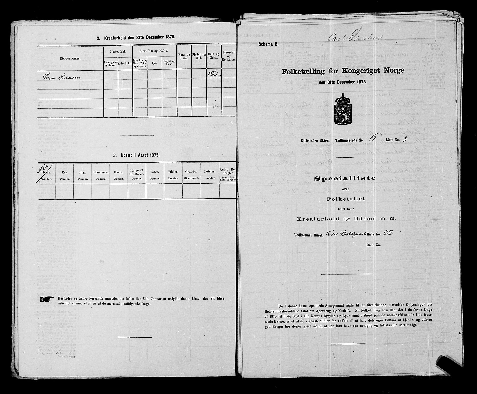 SAKO, 1875 census for 0806P Skien, 1875, p. 968