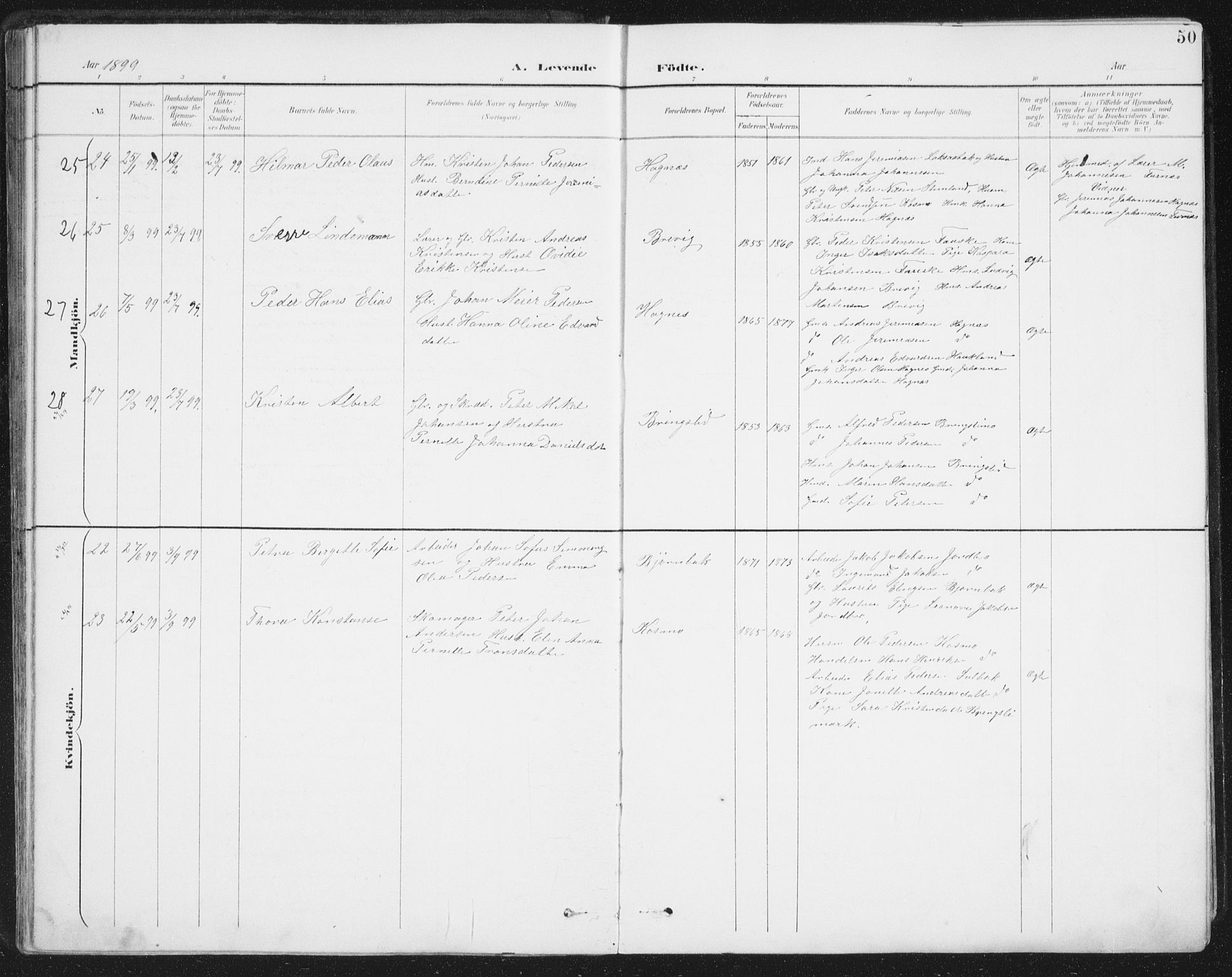 Ministerialprotokoller, klokkerbøker og fødselsregistre - Nordland, AV/SAT-A-1459/852/L0741: Parish register (official) no. 852A11, 1894-1917, p. 50