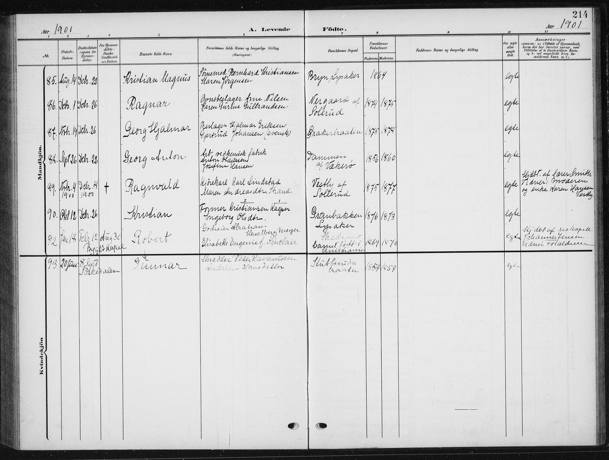 Vestre Aker prestekontor Kirkebøker, SAO/A-10025/F/Fb/L0001: Parish register (official) no. II 1, 1880-1906, p. 214