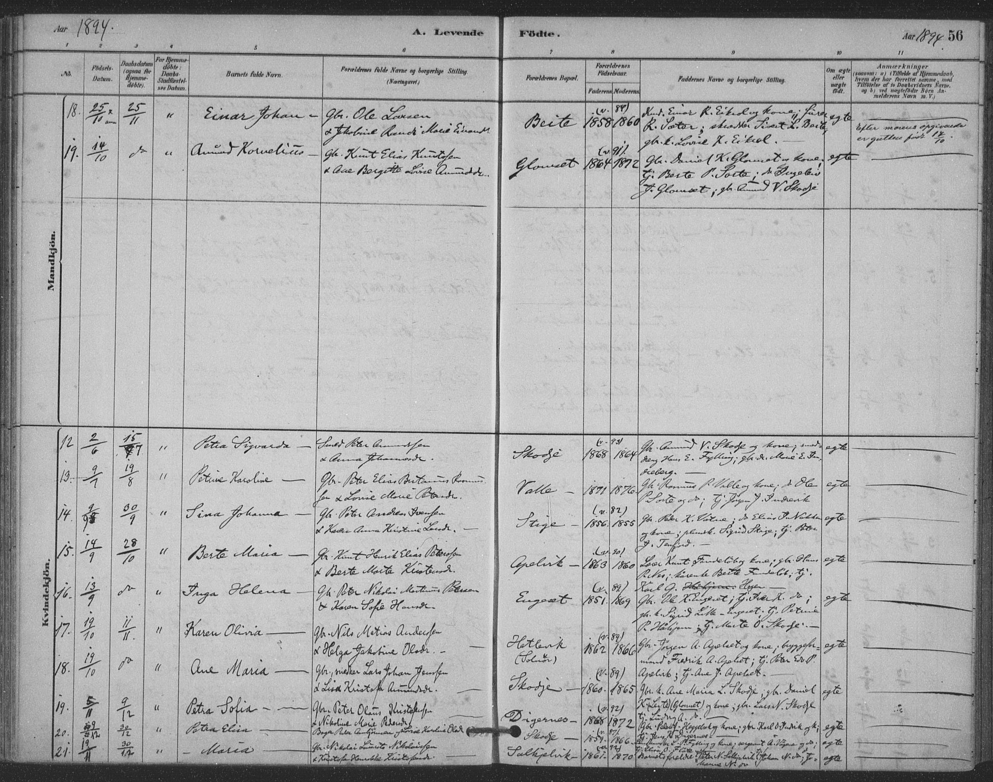 Ministerialprotokoller, klokkerbøker og fødselsregistre - Møre og Romsdal, AV/SAT-A-1454/524/L0356: Parish register (official) no. 524A08, 1880-1899, p. 56