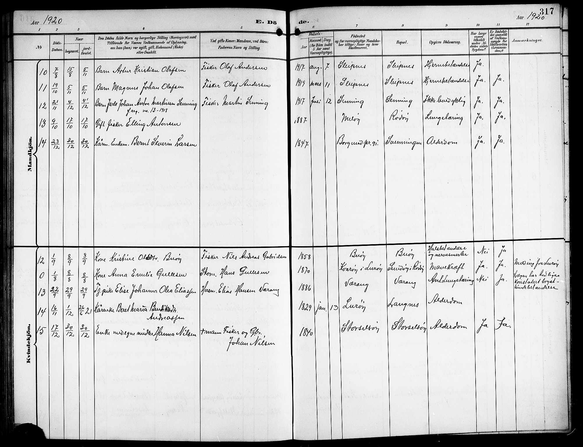 Ministerialprotokoller, klokkerbøker og fødselsregistre - Nordland, AV/SAT-A-1459/841/L0621: Parish register (copy) no. 841C05, 1897-1923, p. 317