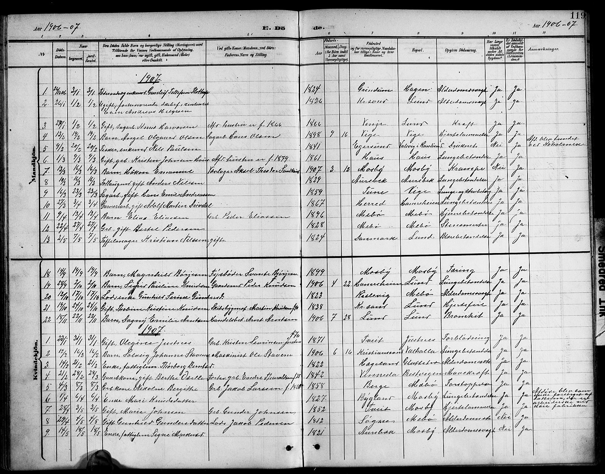 Oddernes sokneprestkontor, AV/SAK-1111-0033/F/Fb/Fba/L0009: Parish register (copy) no. B 9, 1899-1923, p. 119