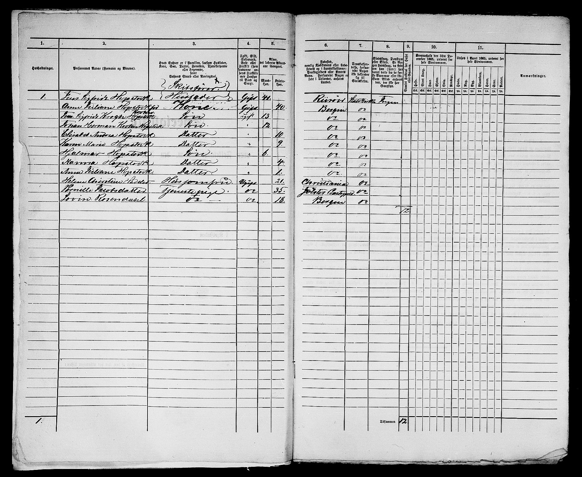 RA, 1865 census for Bergen, 1865, p. 3069