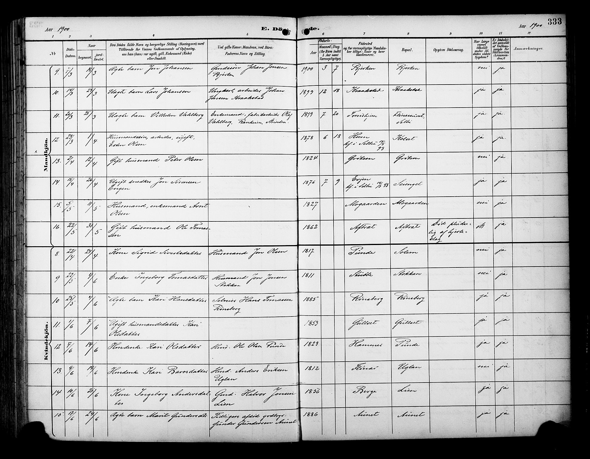 Ministerialprotokoller, klokkerbøker og fødselsregistre - Sør-Trøndelag, SAT/A-1456/695/L1149: Parish register (official) no. 695A09, 1891-1902, p. 333