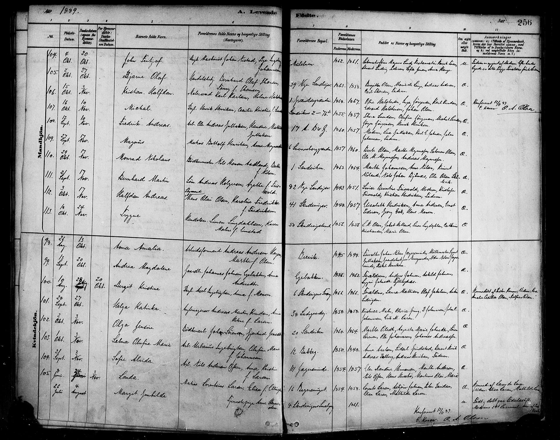 Sandviken Sokneprestembete, AV/SAB-A-77601/H/Ha/L0004: Parish register (official) no. B 1, 1878-1891, p. 256