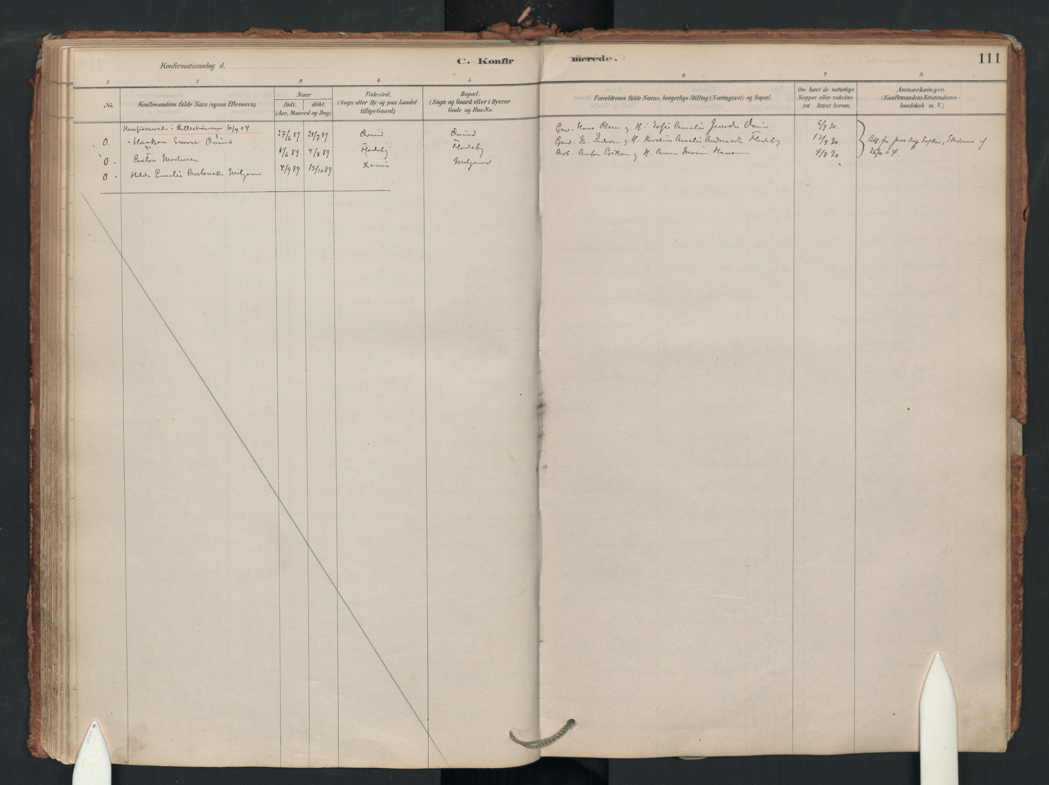 Enebakk prestekontor Kirkebøker, SAO/A-10171c/F/Fa/L0018: Parish register (official) no. I 18, 1877-1930, p. 111