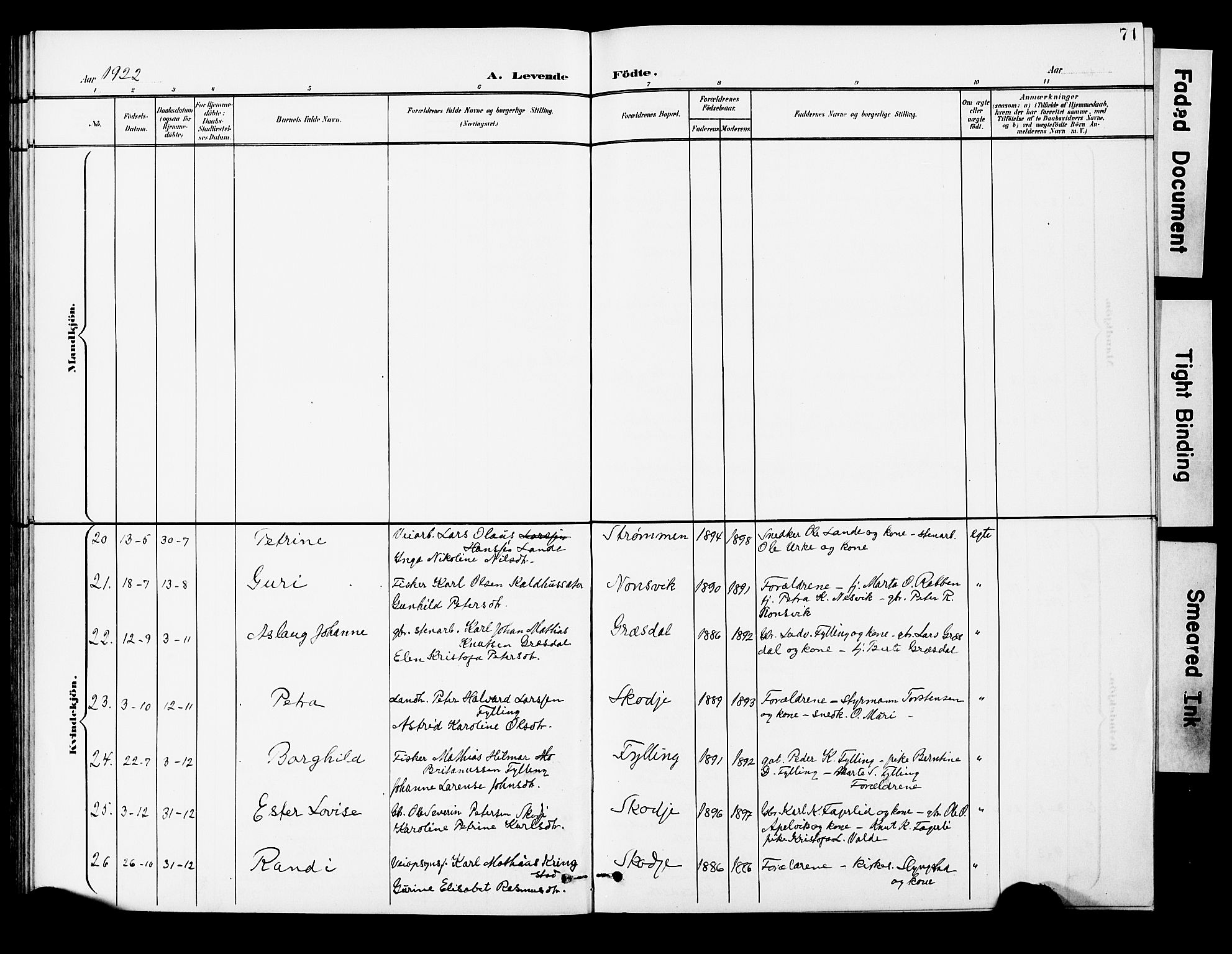 Ministerialprotokoller, klokkerbøker og fødselsregistre - Møre og Romsdal, AV/SAT-A-1454/524/L0366: Parish register (copy) no. 524C07, 1900-1931, p. 71