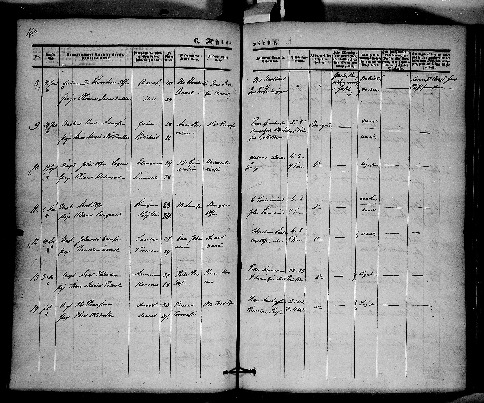 Hof prestekontor, AV/SAH-PREST-038/H/Ha/Haa/L0008: Parish register (official) no. 8, 1849-1861, p. 165