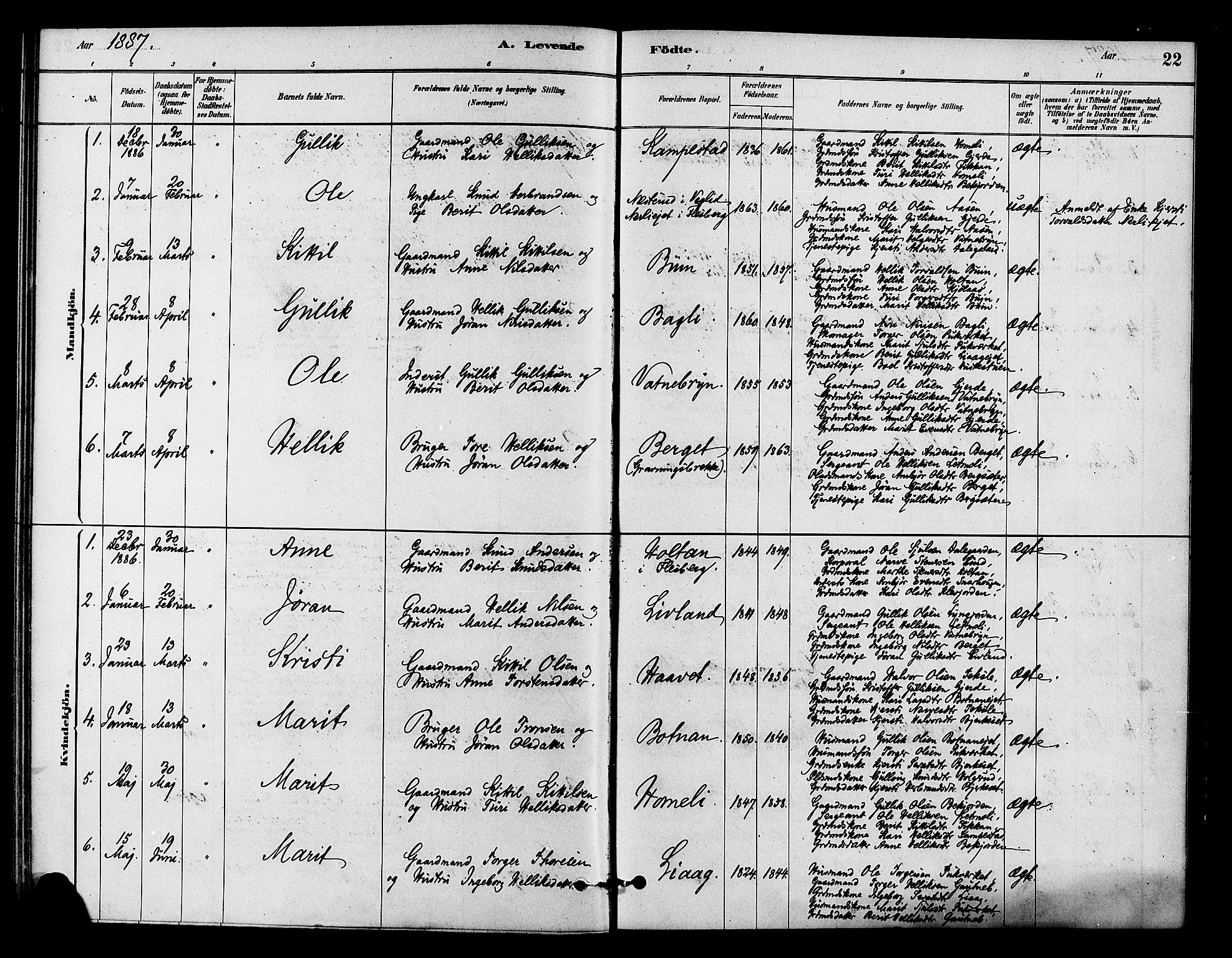 Flesberg kirkebøker, SAKO/A-18/F/Fc/L0001: Parish register (official) no. III 1, 1879-1905, p. 22