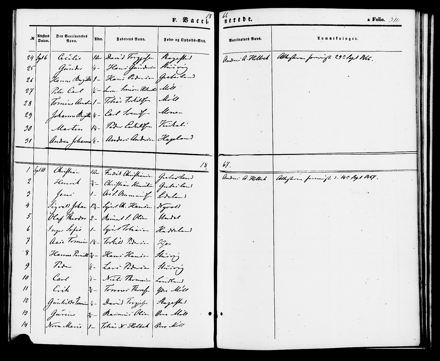 Holum sokneprestkontor, AV/SAK-1111-0022/F/Fa/Faa/L0006: Parish register (official) no. A 6, 1865-1883, p. 310