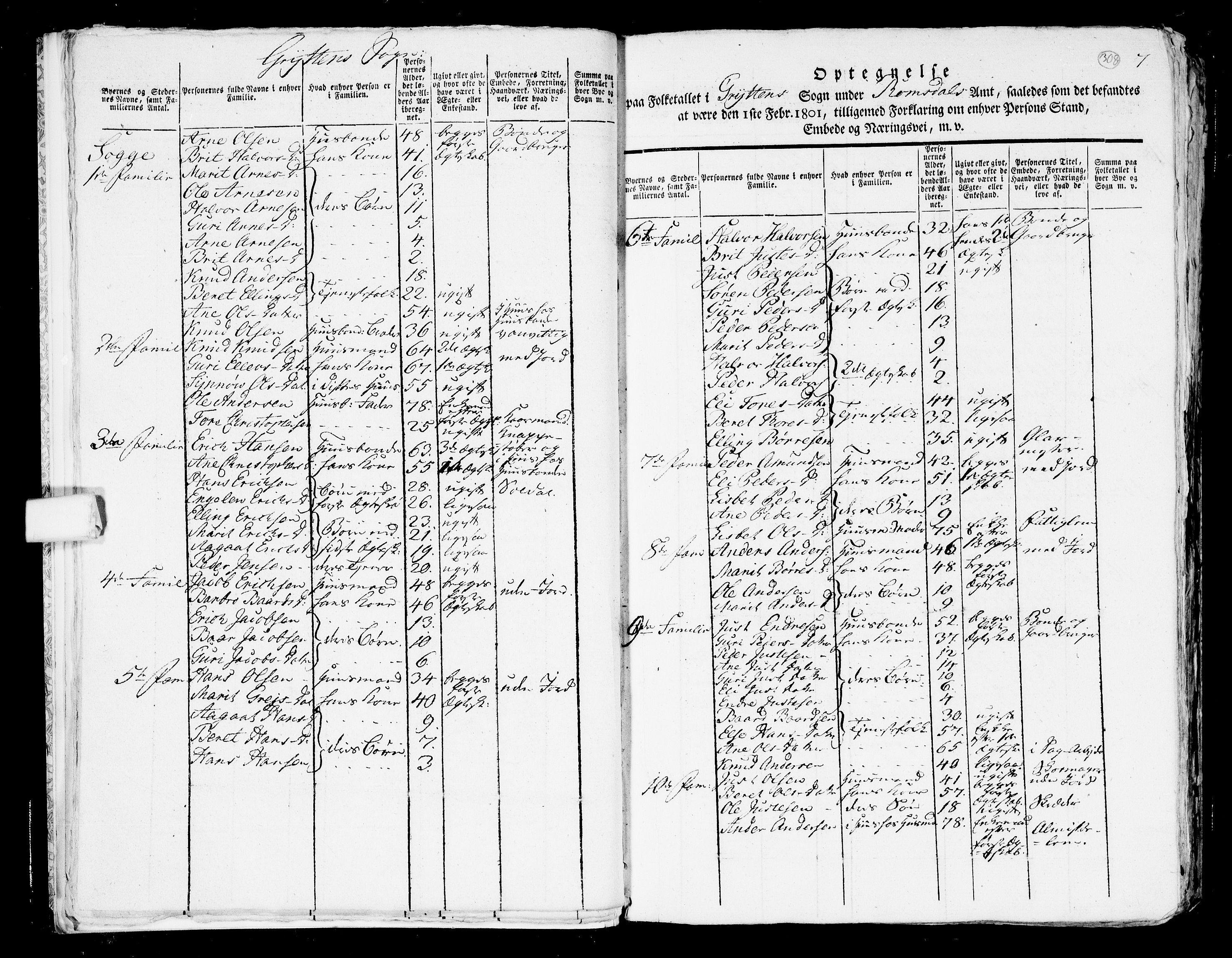 RA, 1801 census for 1539P Grytten, 1801, p. 307b-308a