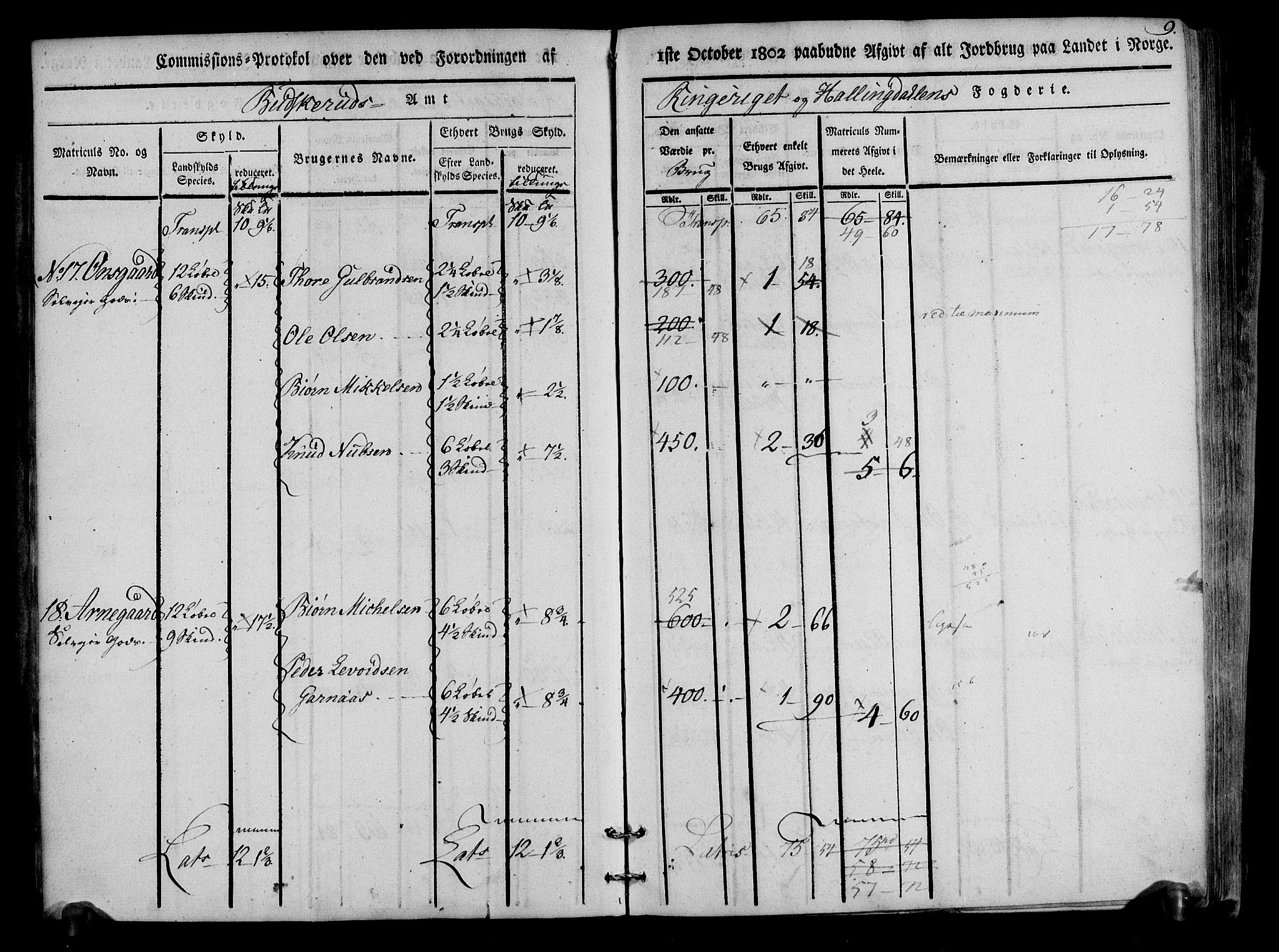 Rentekammeret inntil 1814, Realistisk ordnet avdeling, AV/RA-EA-4070/N/Ne/Nea/L0047: Ringerike og Hallingdal fogderi. Kommisjonsprotokoll for Nes prestegjeld, 1803, p. 10