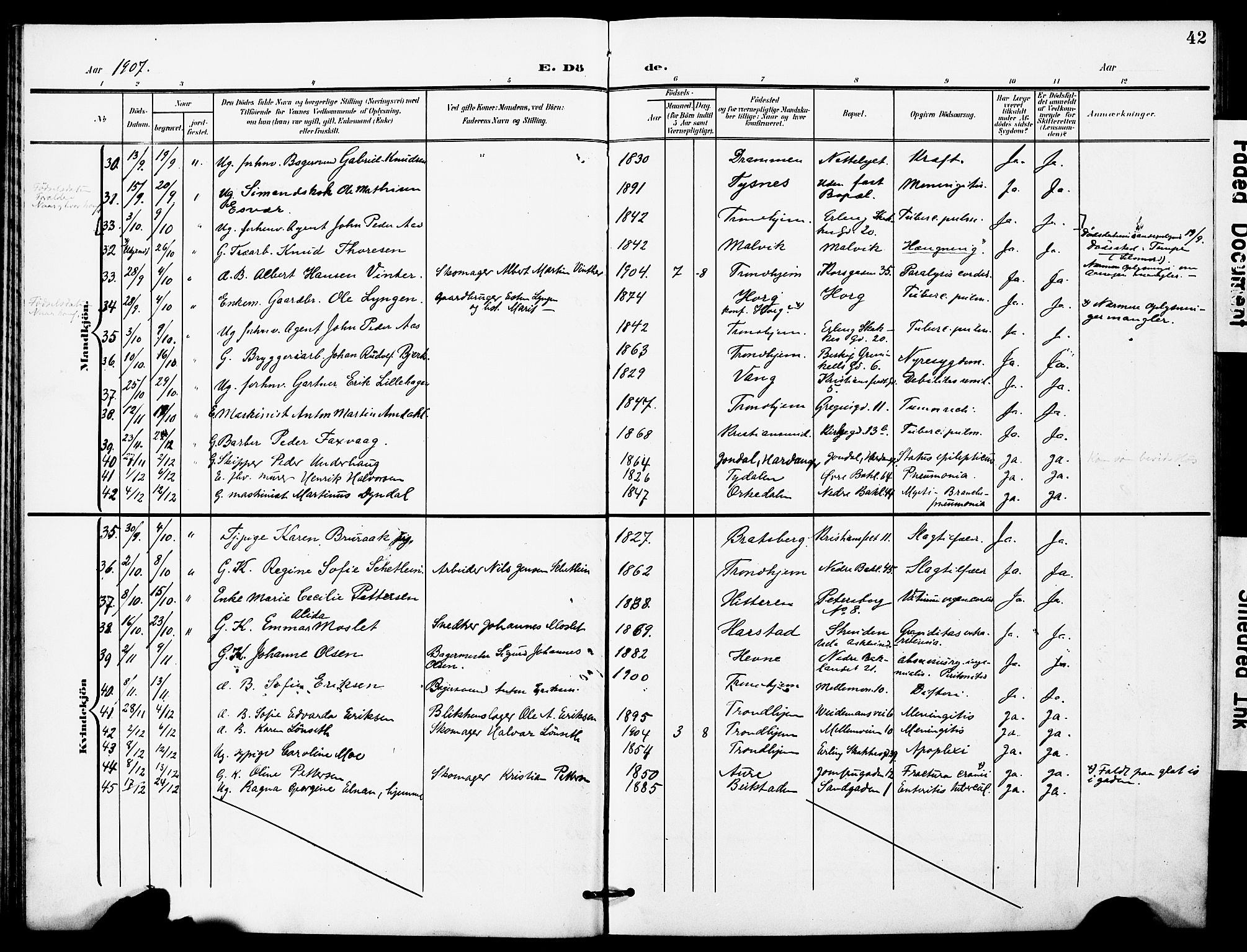 Ministerialprotokoller, klokkerbøker og fødselsregistre - Sør-Trøndelag, SAT/A-1456/628/L0483: Parish register (official) no. 628A01, 1902-1920, p. 42