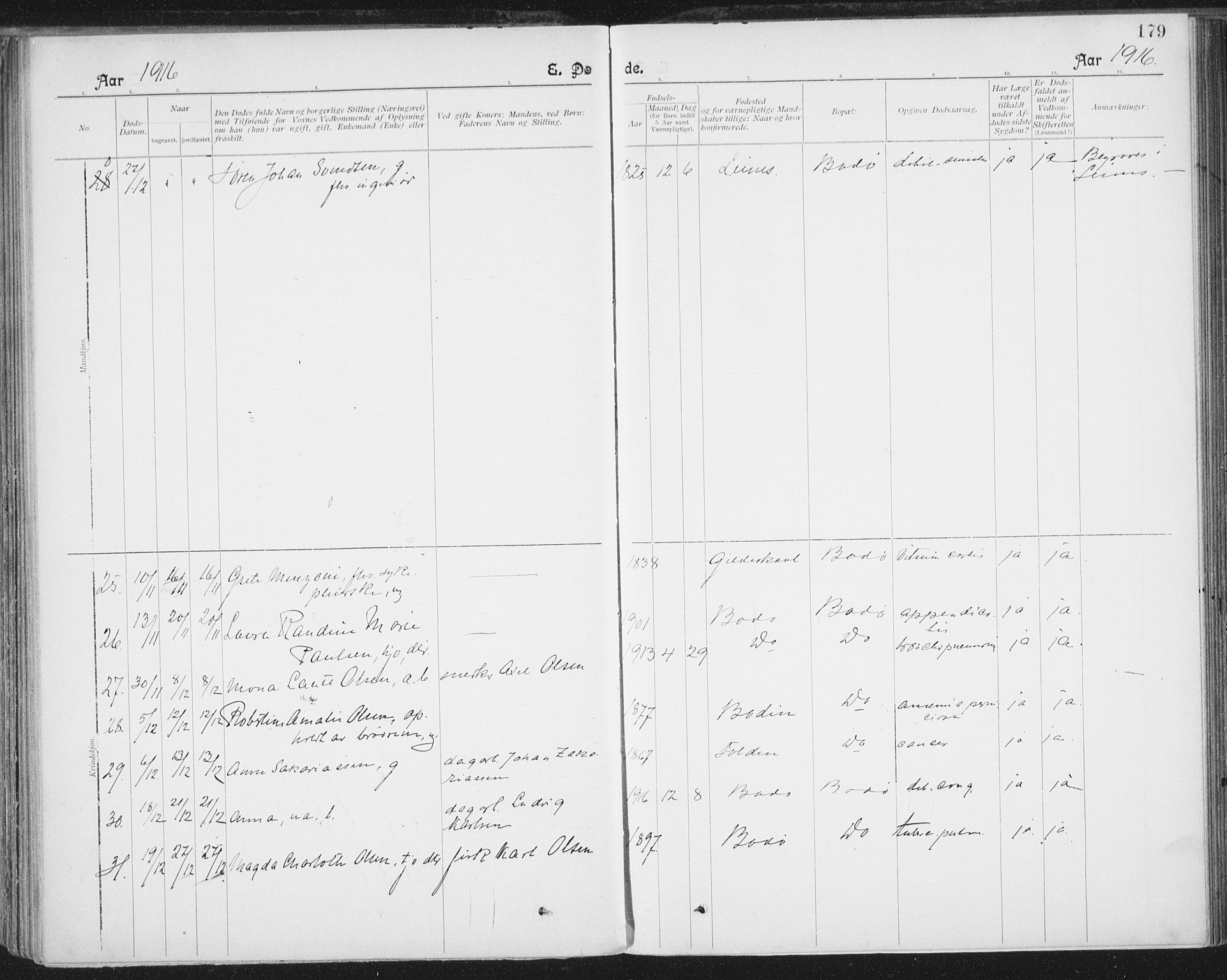 Ministerialprotokoller, klokkerbøker og fødselsregistre - Nordland, AV/SAT-A-1459/801/L0012: Parish register (official) no. 801A12, 1900-1916, p. 179