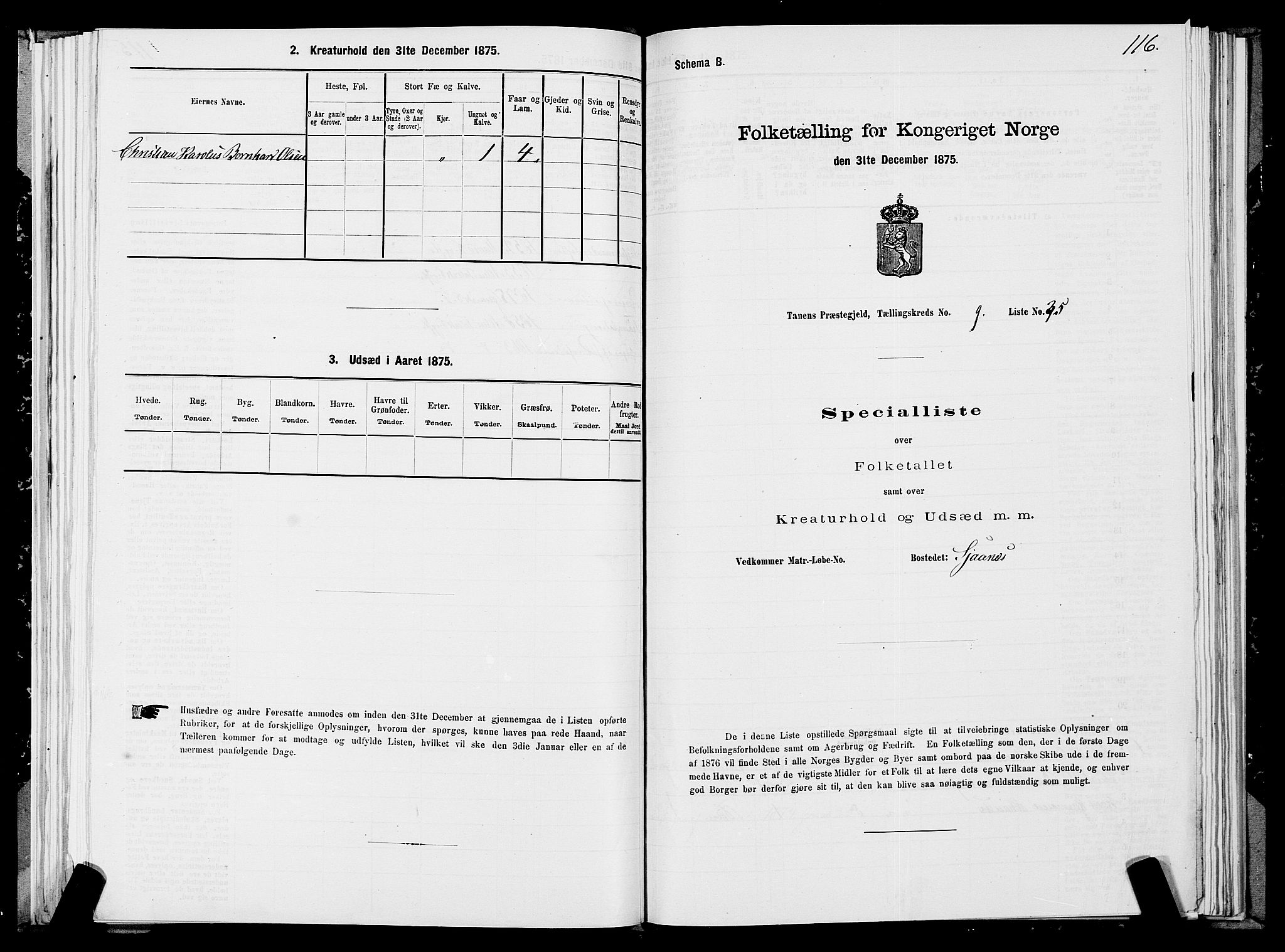 SATØ, 1875 census for 2025P Tana, 1875, p. 3116