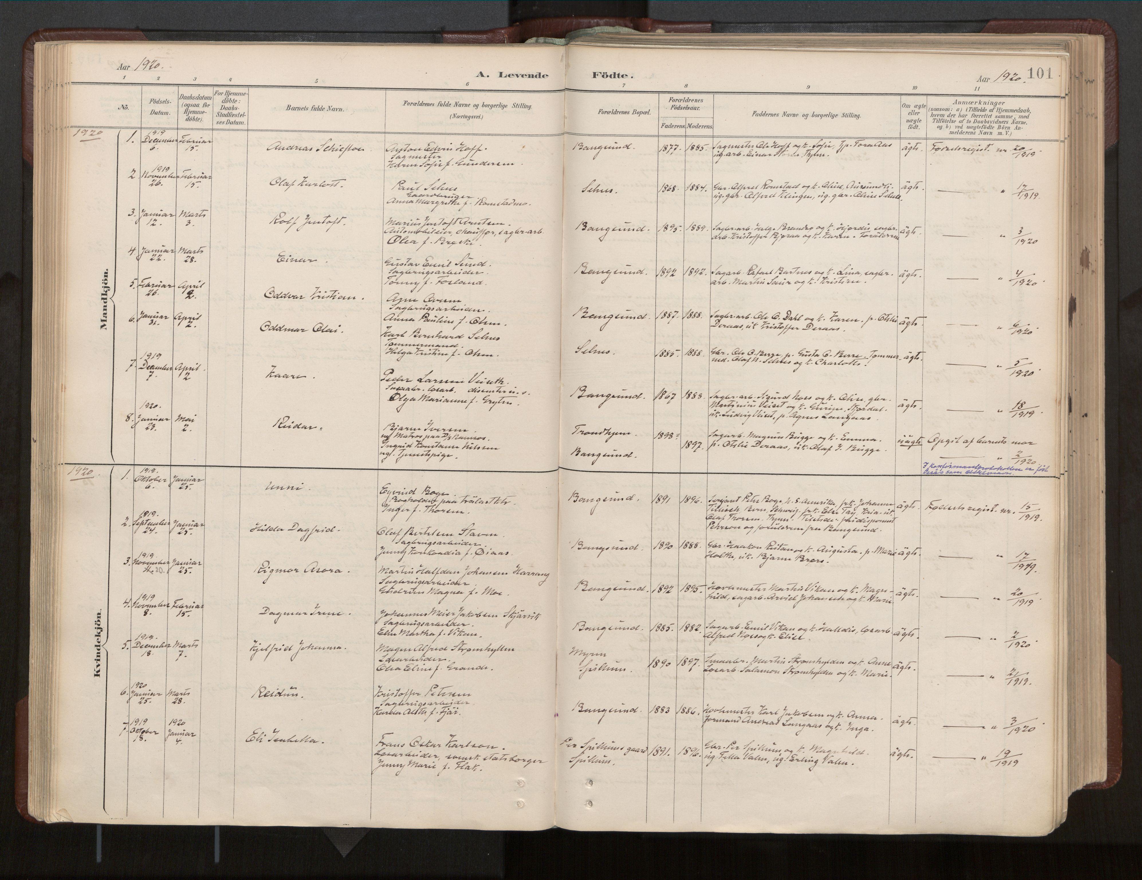Ministerialprotokoller, klokkerbøker og fødselsregistre - Nord-Trøndelag, SAT/A-1458/770/L0589: Parish register (official) no. 770A03, 1887-1929, p. 101