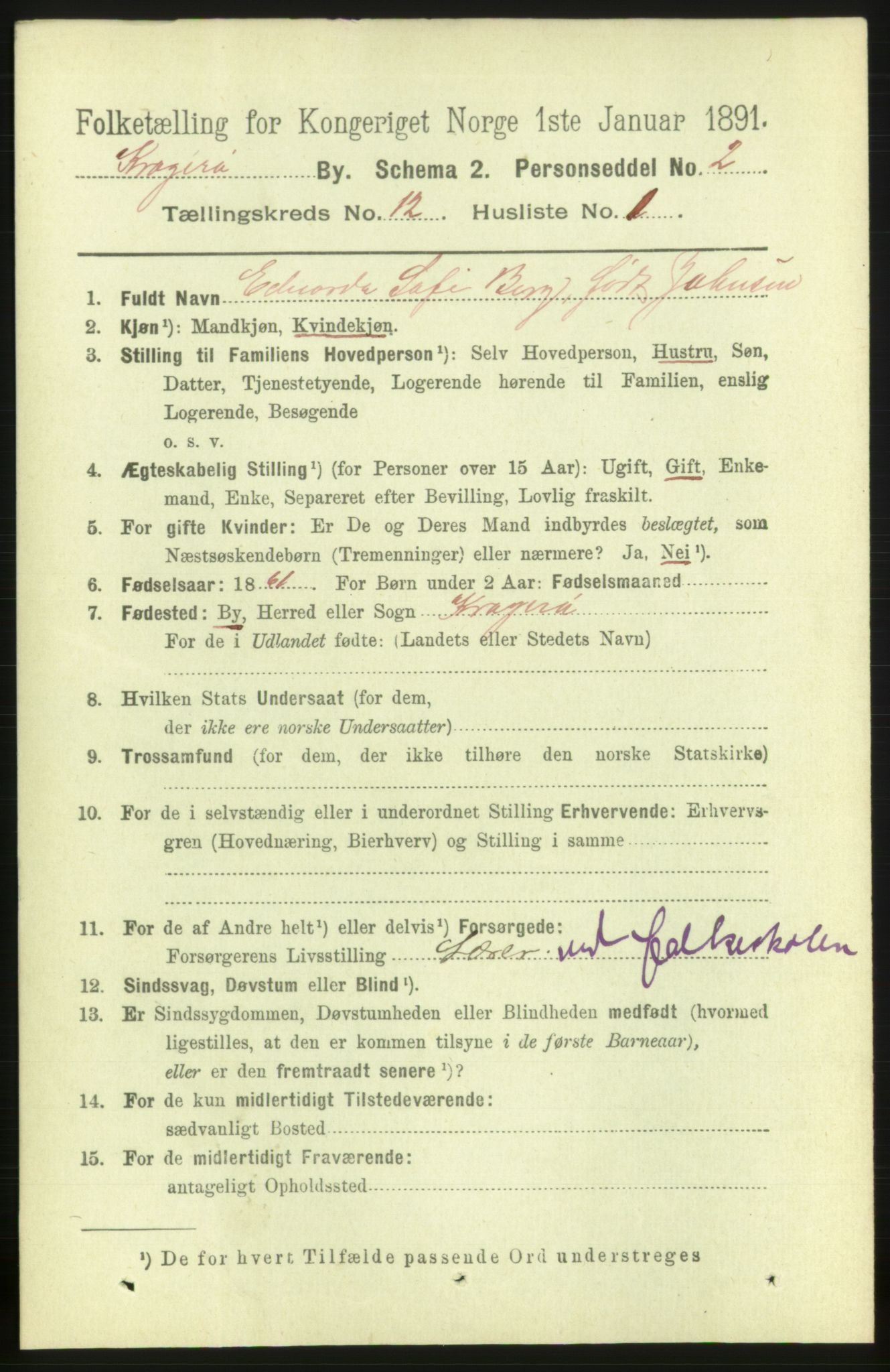 RA, 1891 census for 0801 Kragerø, 1891, p. 3918