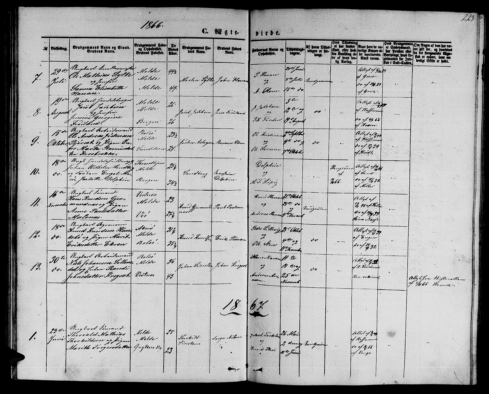 Ministerialprotokoller, klokkerbøker og fødselsregistre - Møre og Romsdal, AV/SAT-A-1454/558/L0701: Parish register (copy) no. 558C02, 1862-1879, p. 223