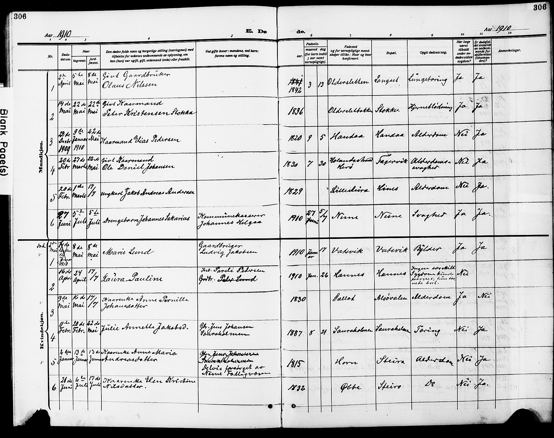 Ministerialprotokoller, klokkerbøker og fødselsregistre - Nordland, AV/SAT-A-1459/838/L0560: Parish register (copy) no. 838C07, 1910-1928, p. 306