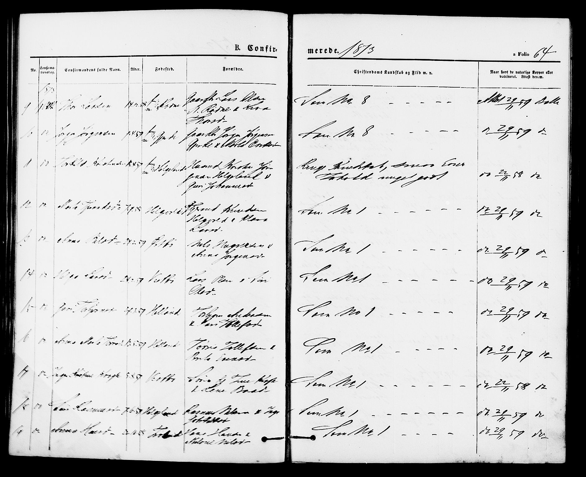 Vikedal sokneprestkontor, AV/SAST-A-101840/01/IV: Parish register (official) no. A 8, 1868-1885, p. 64