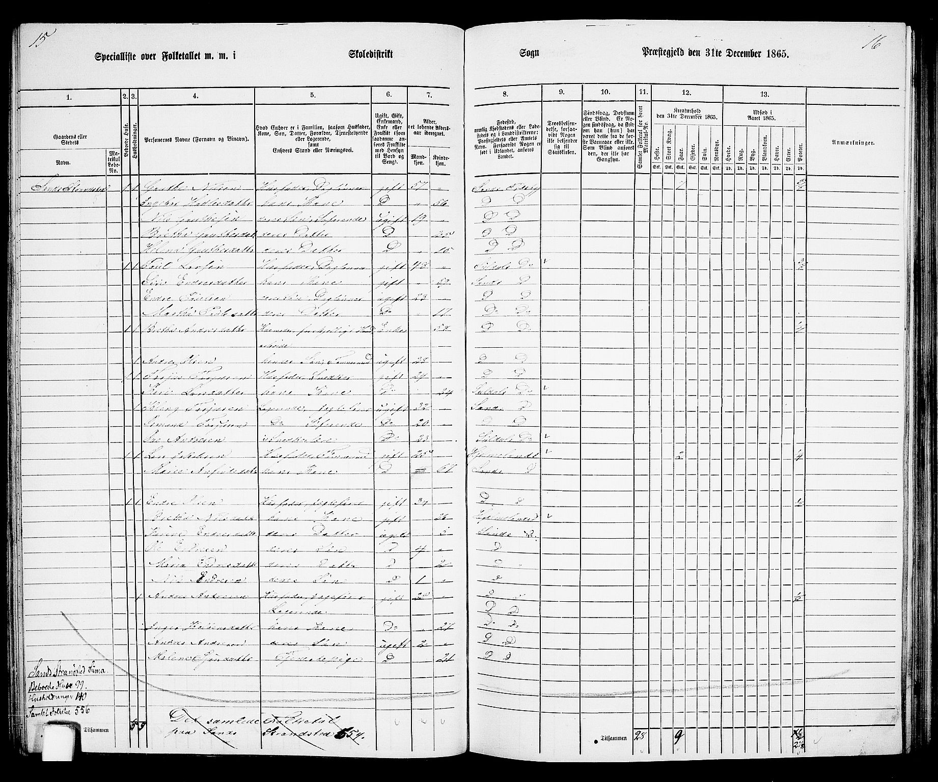 RA, 1865 census for Sand, 1865, p. 67